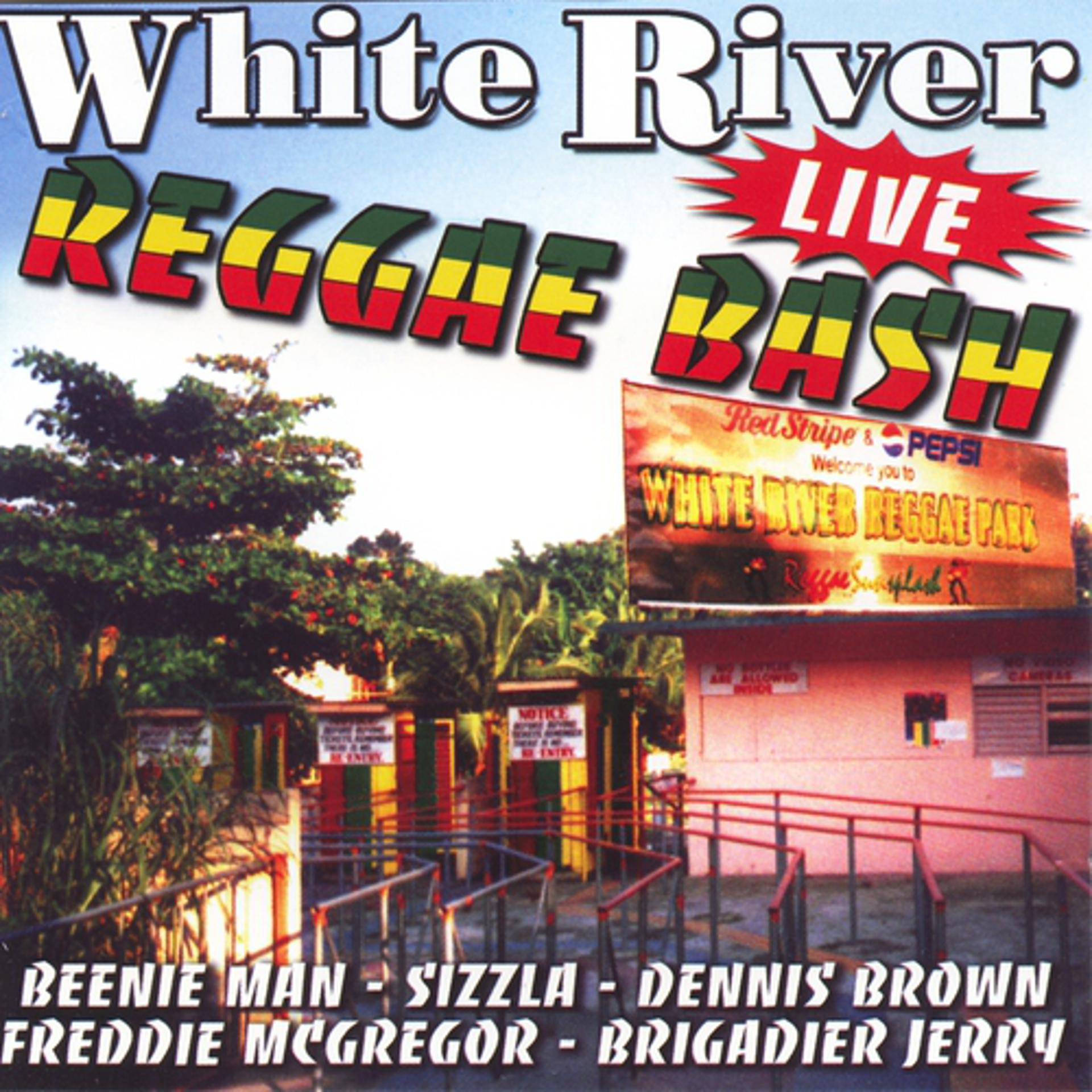 Постер альбома White river reggae bash (live)