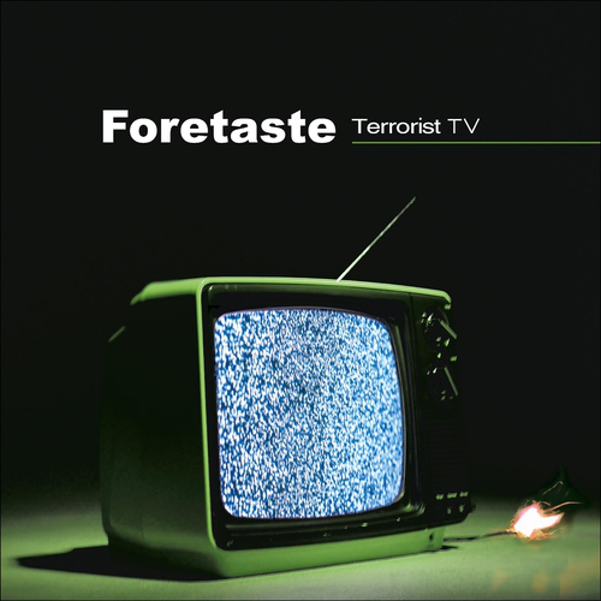 Постер альбома Terrorist TV