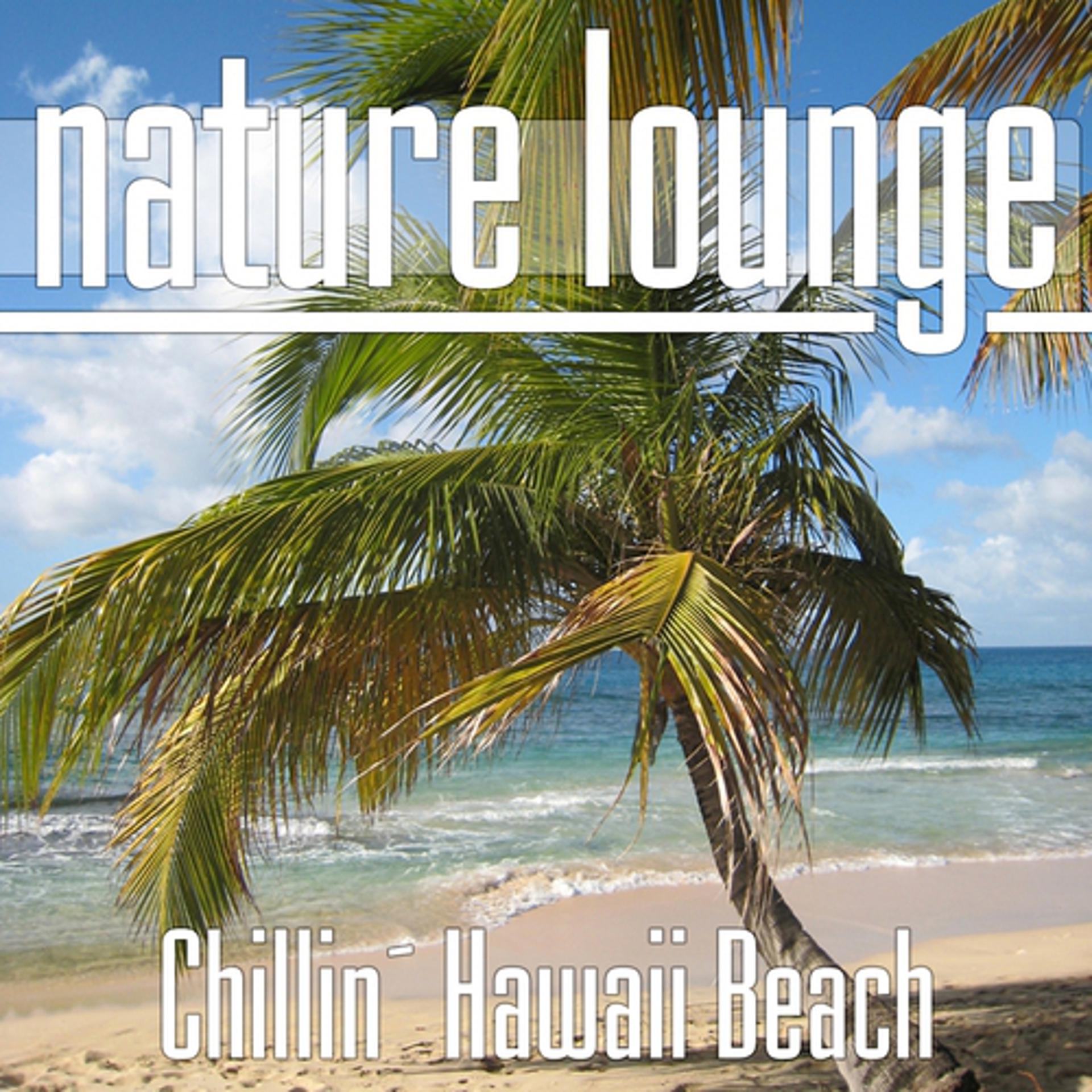 Постер альбома Chillin' Hawaii Beach