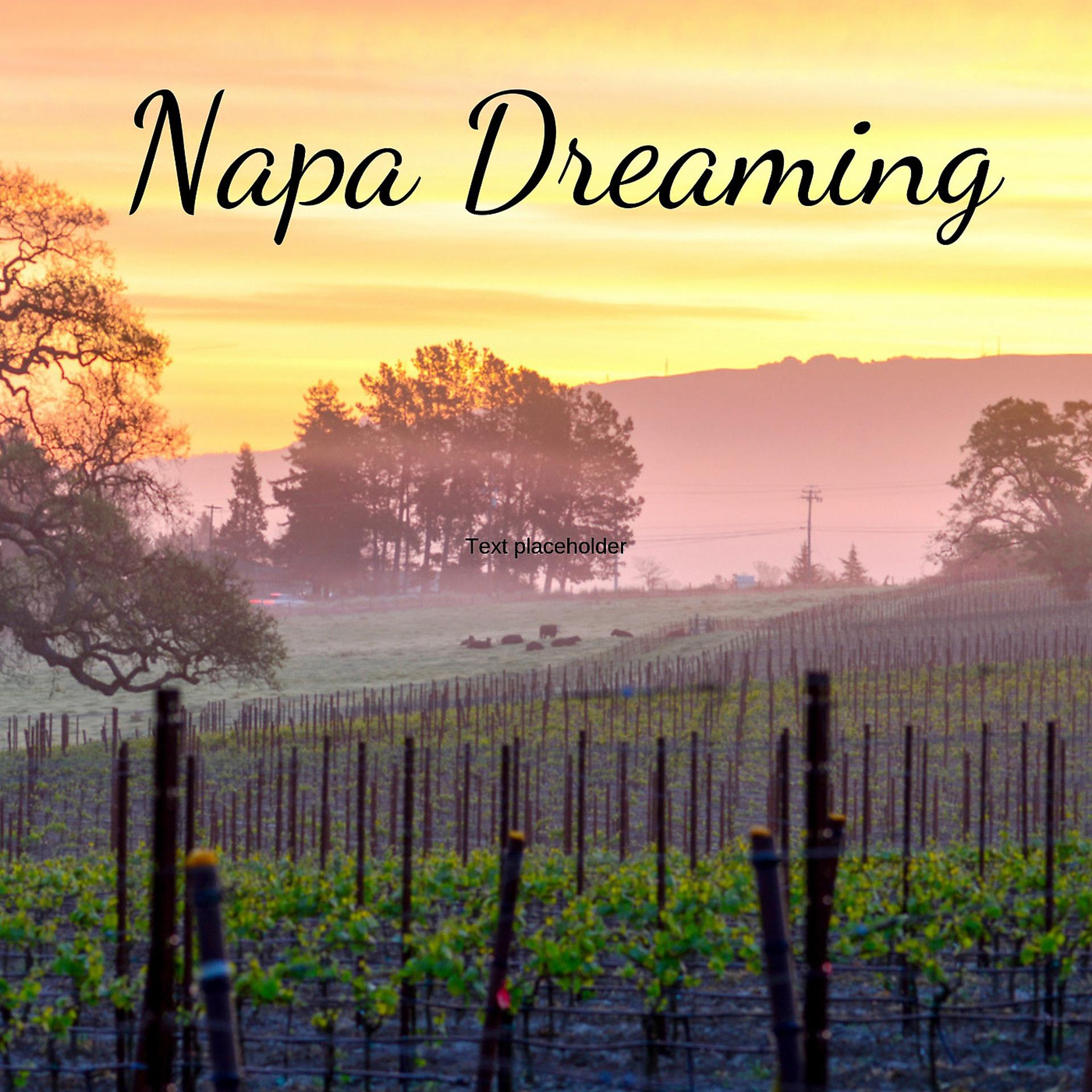 Постер альбома Napa Dreaming