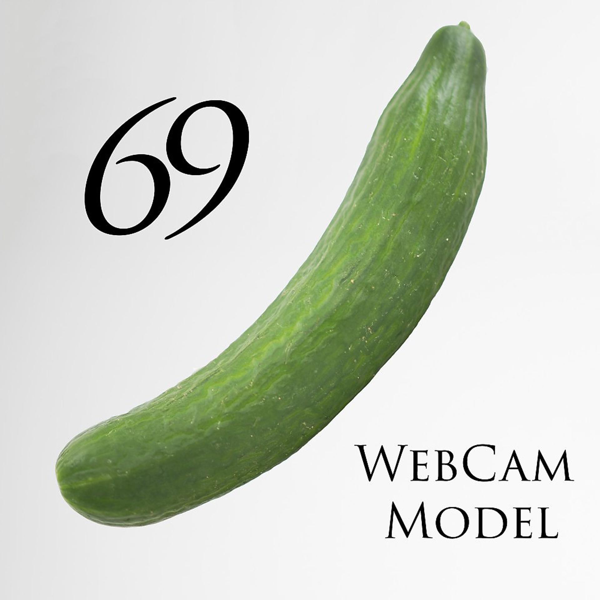 Постер альбома Webcam Model