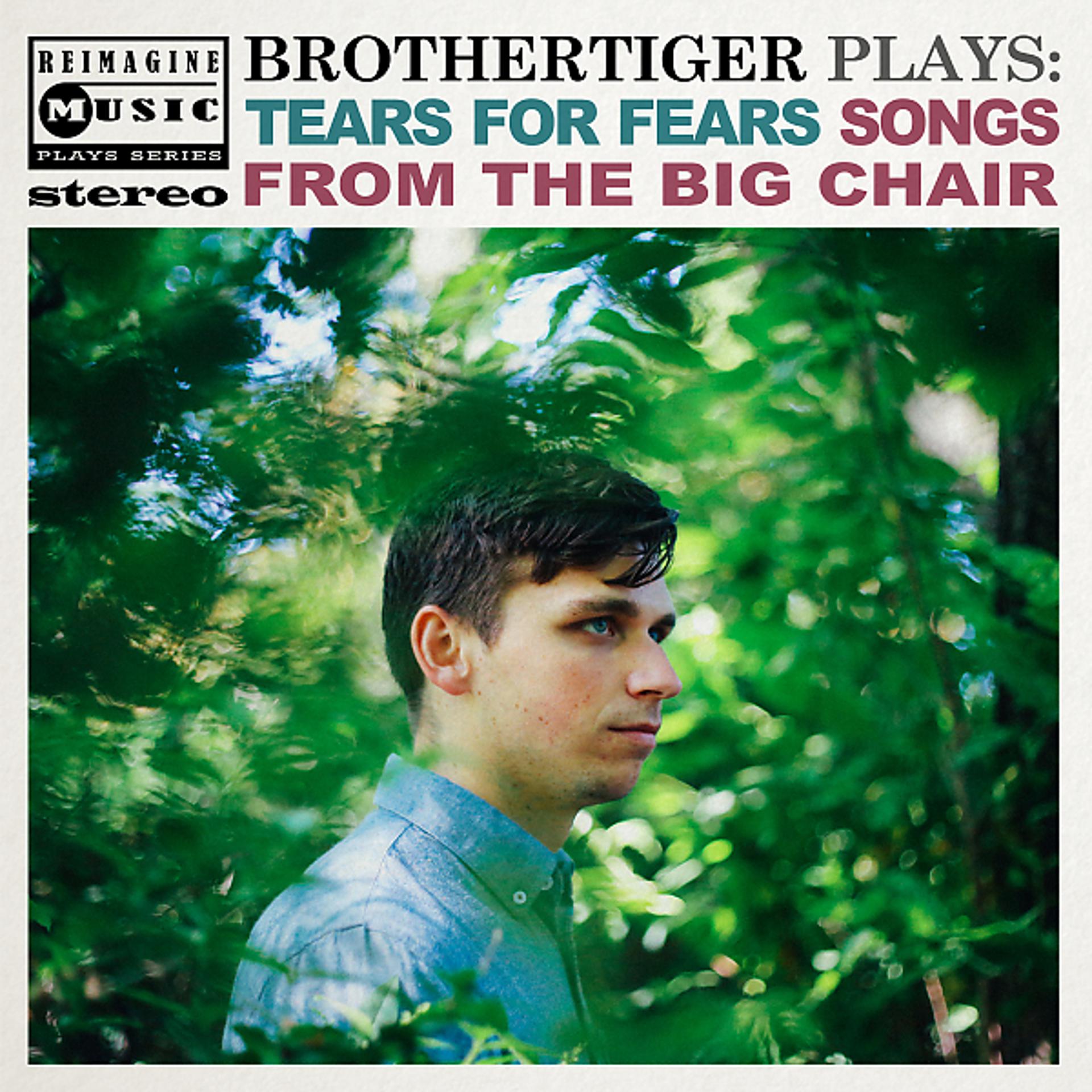 Постер альбома Brothertiger Plays: Tears for Fears' Songs from the Big Chair