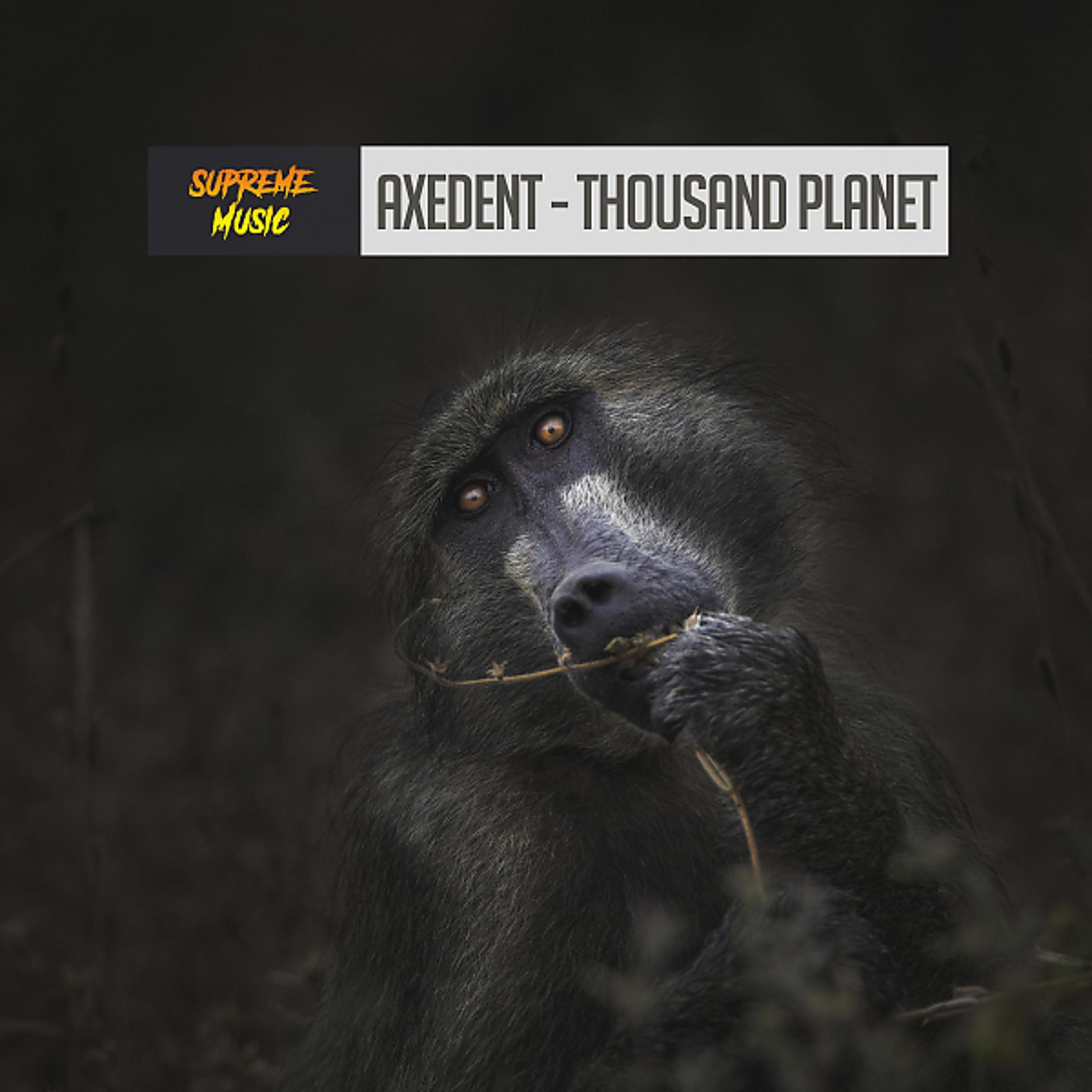 Постер альбома Thousand Planet