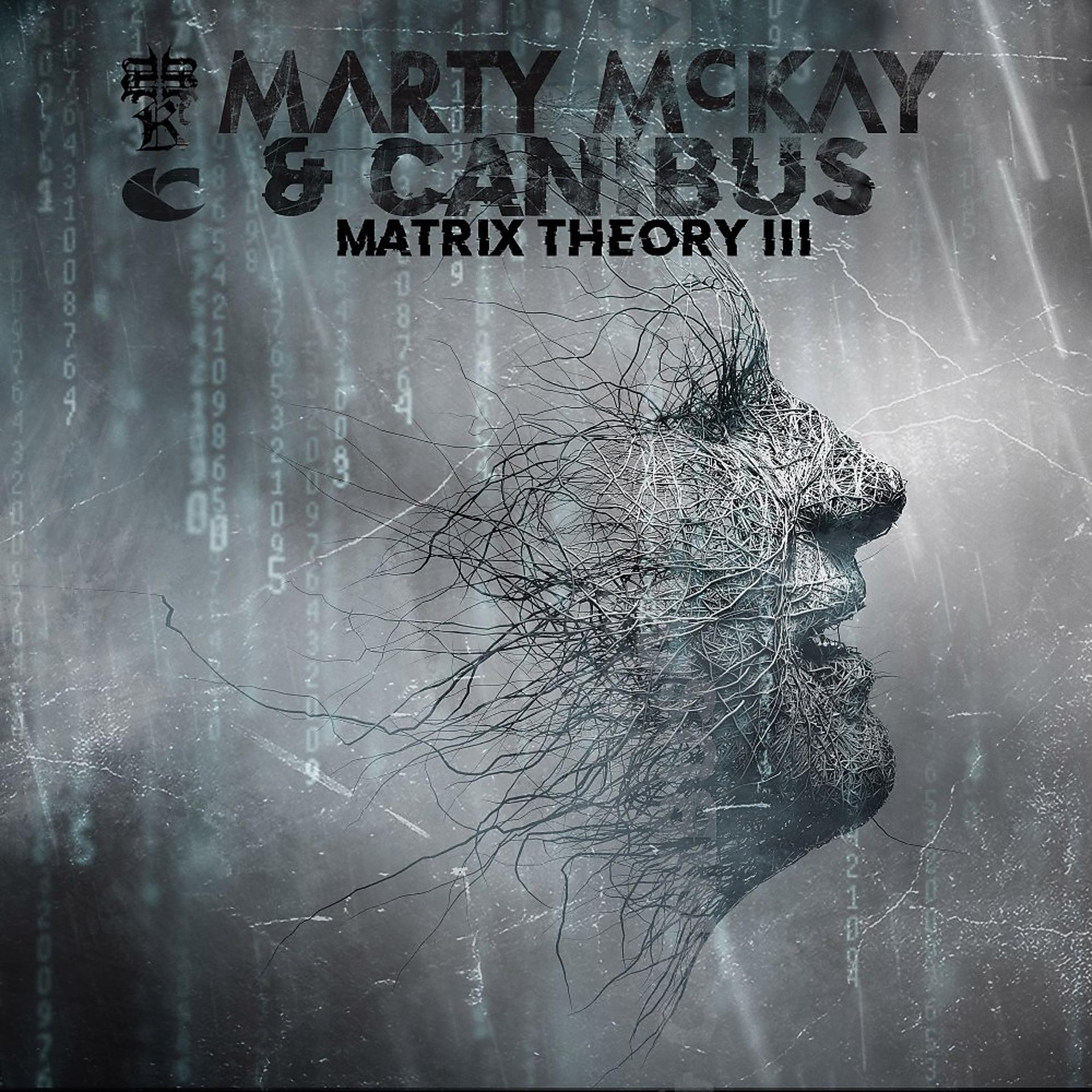 Постер альбома Matrix Theory III