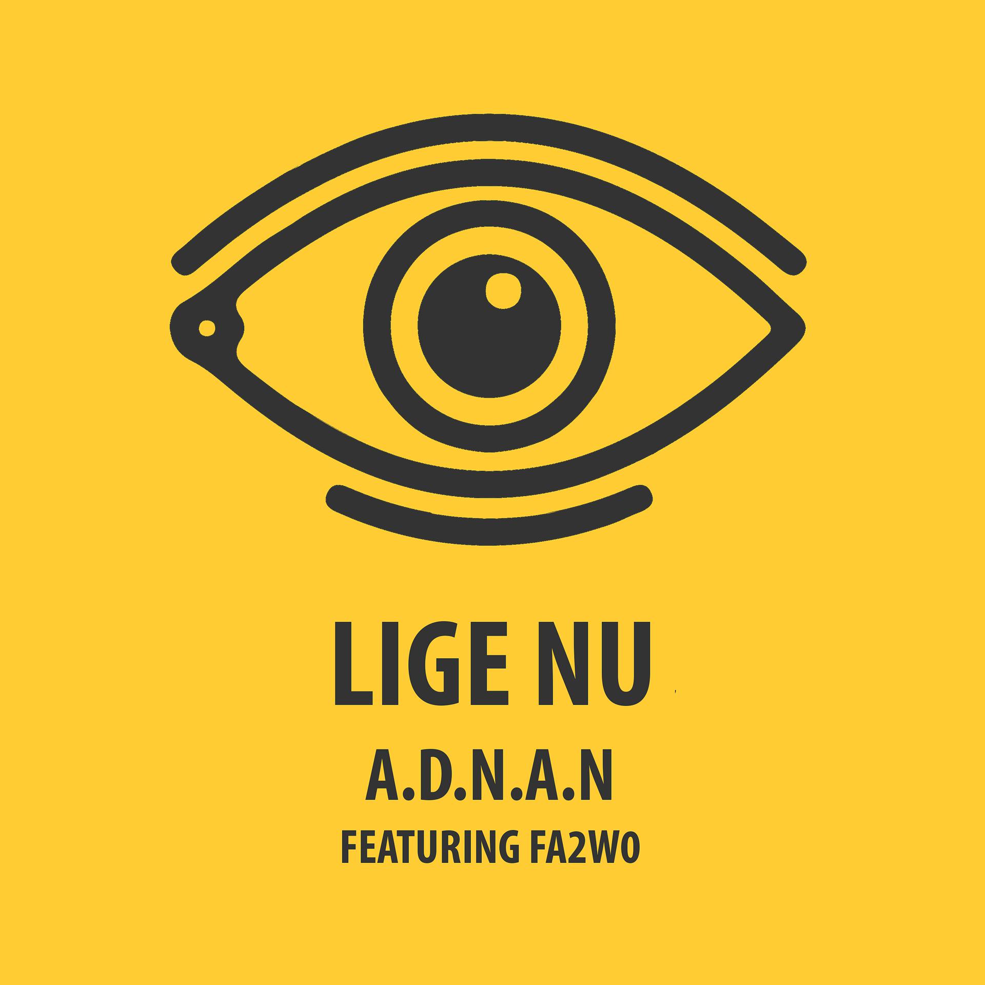Постер альбома Lige Nu