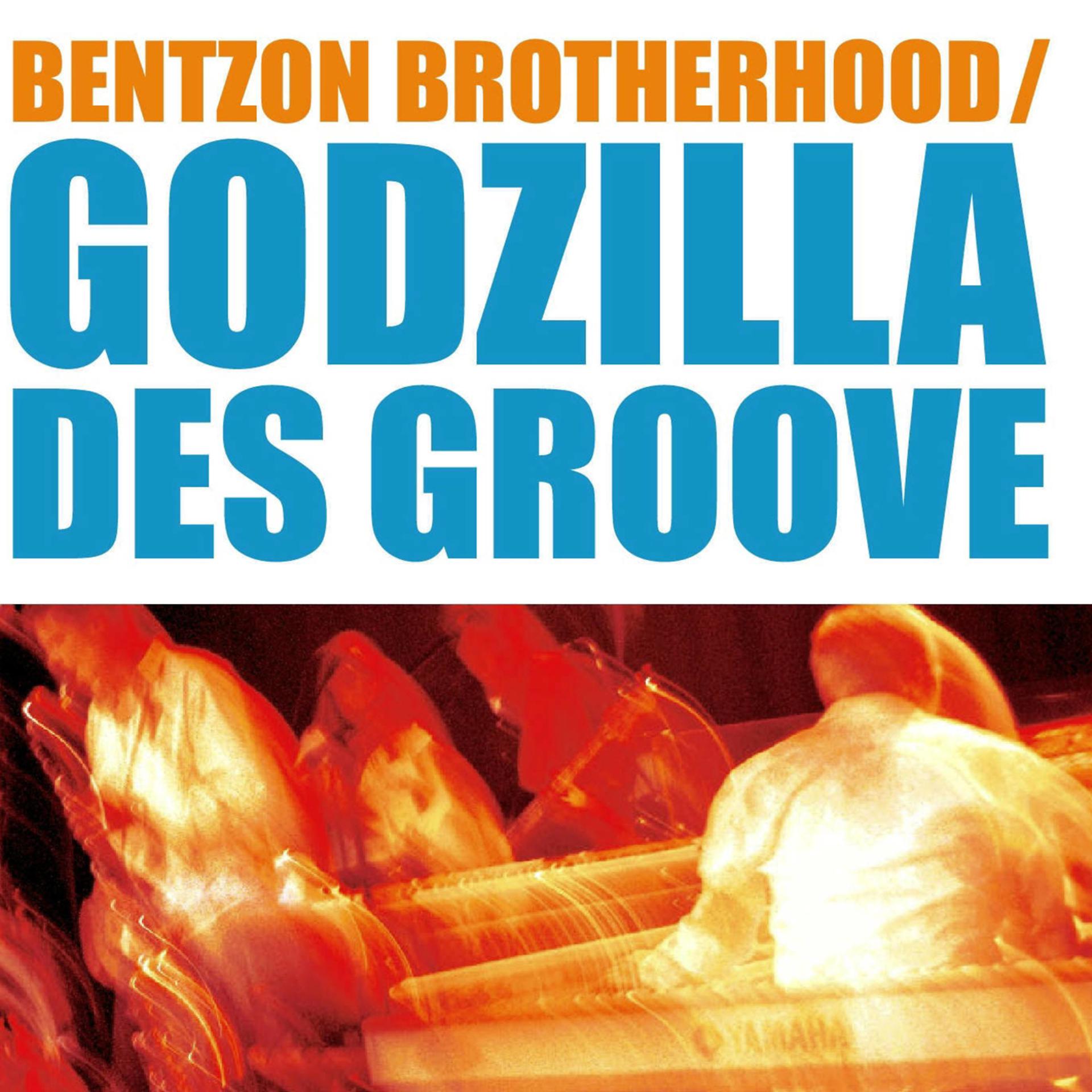 Постер альбома Godzilla Des Groove