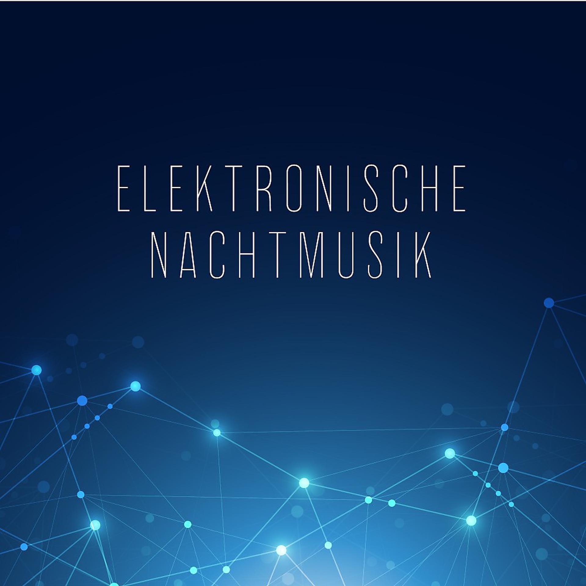 Постер альбома Elektronische Nachtmusik