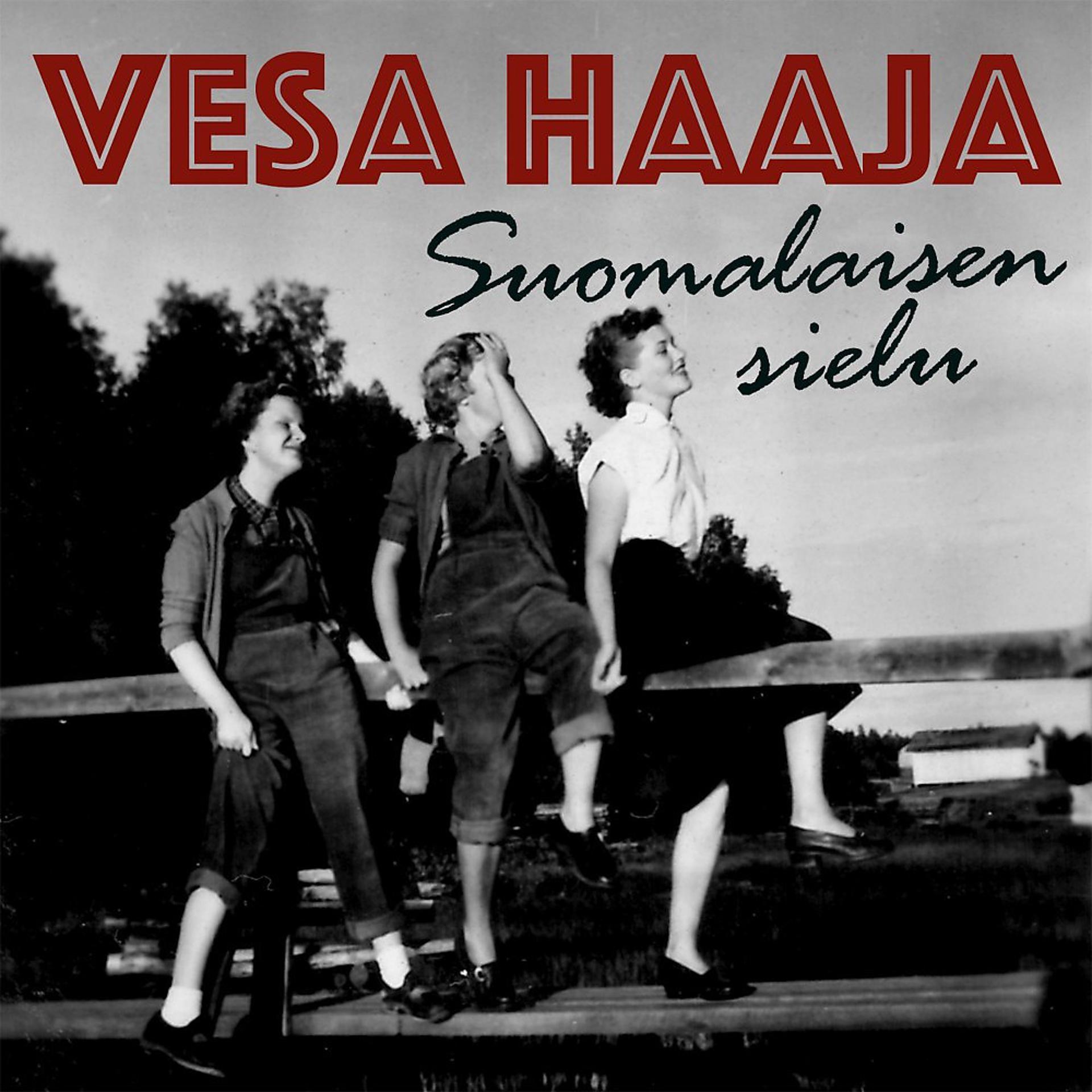 Постер альбома Suomalaisen sielu