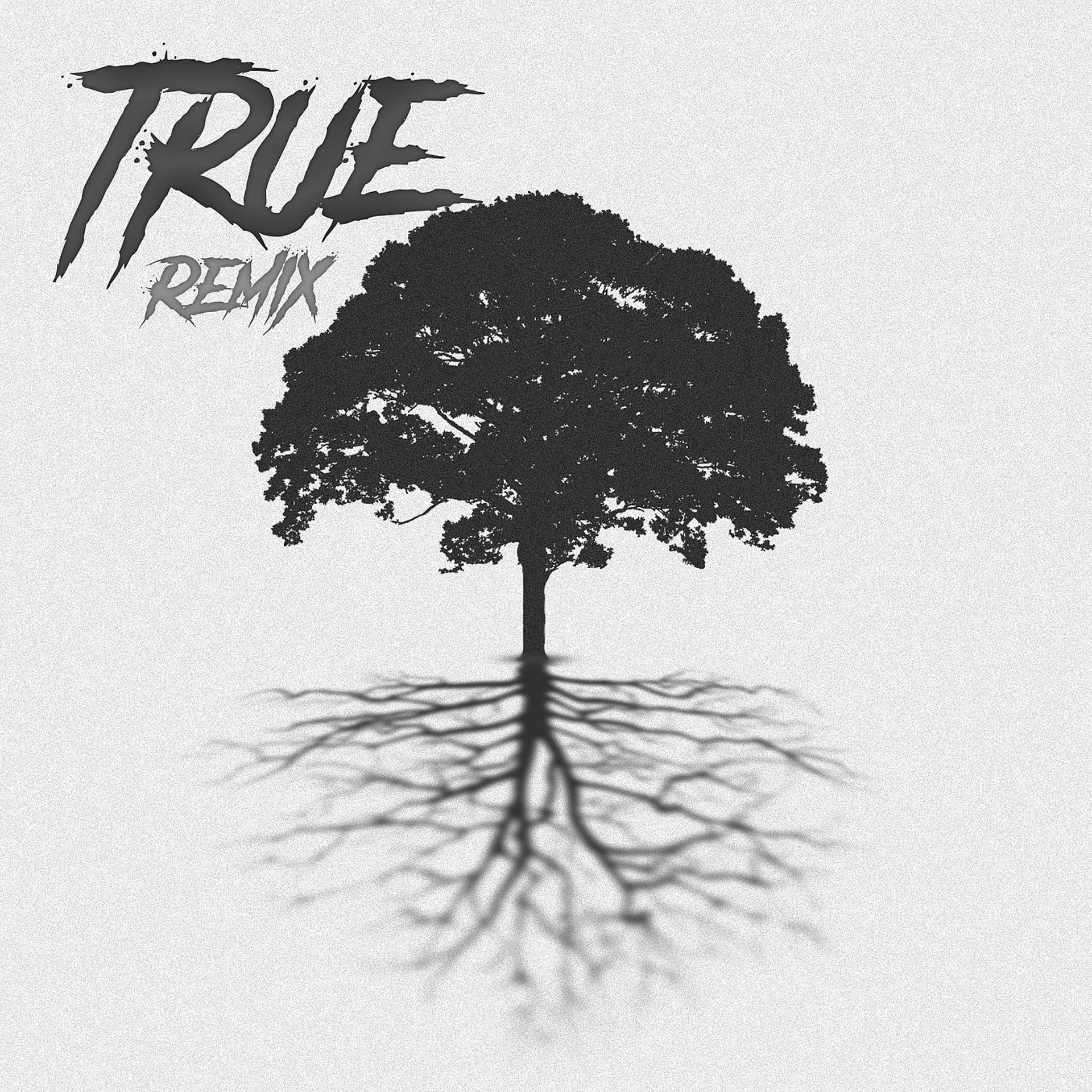 Постер альбома True (Remix)