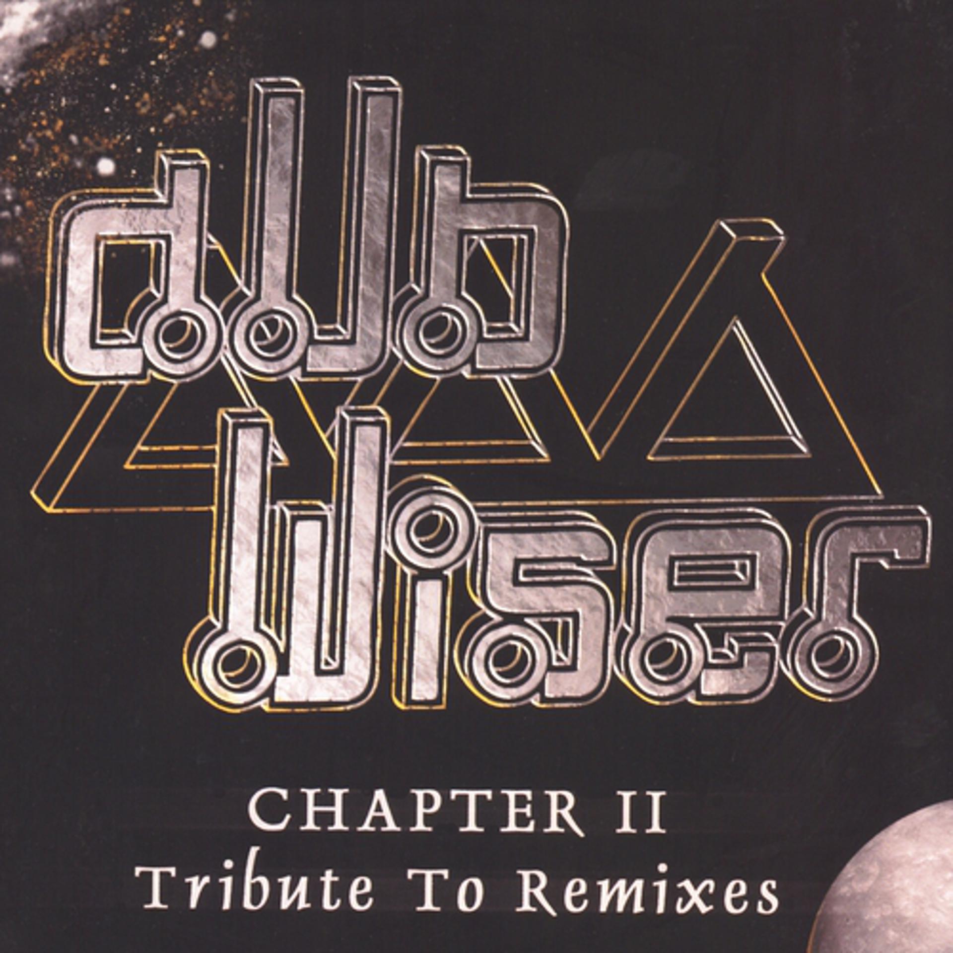 Постер альбома Chapter ii - tribute to remixes