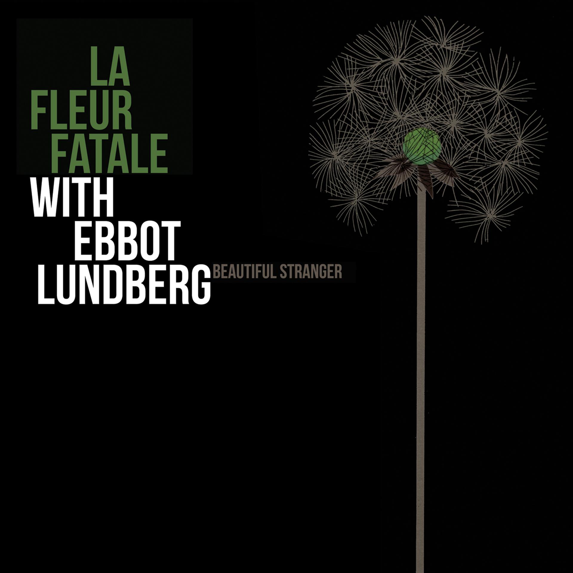 Постер альбома Beautiful Stranger (feat. Ebbot Lundberg)