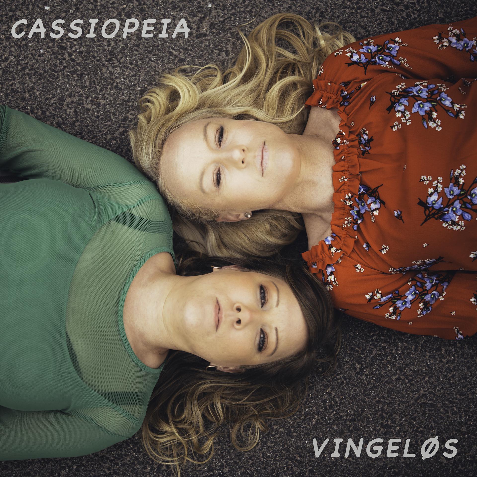 Постер альбома Vingeløs