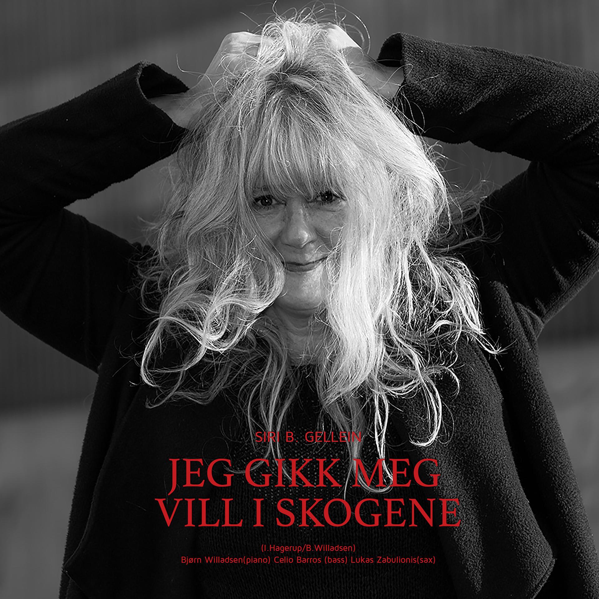 Постер альбома Jeg Gikk Meg Vill I Skogene