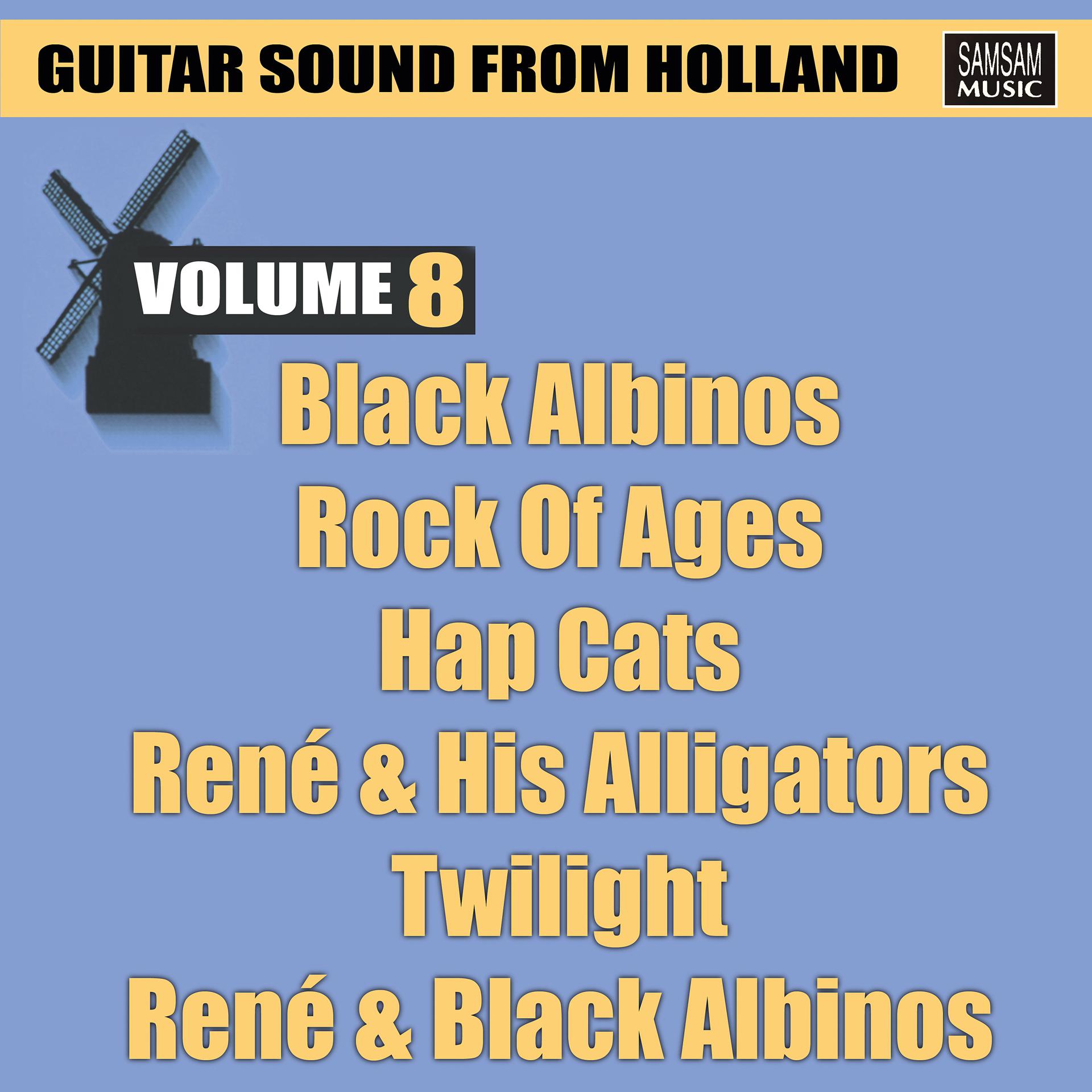 Постер альбома Guitar Sound from Holland Vol. 8