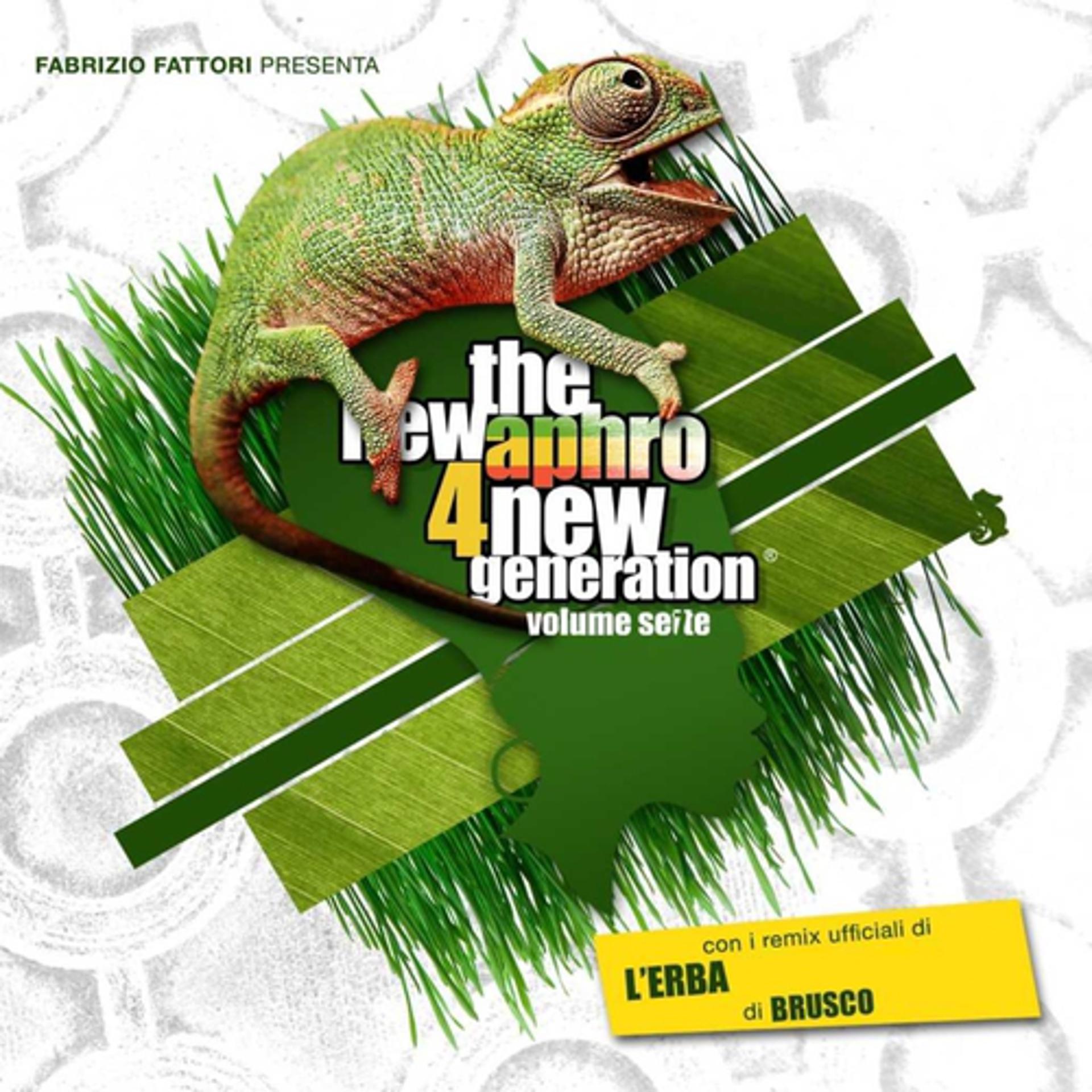 Постер альбома The New Aphro 4 New Generation, Vol. 7