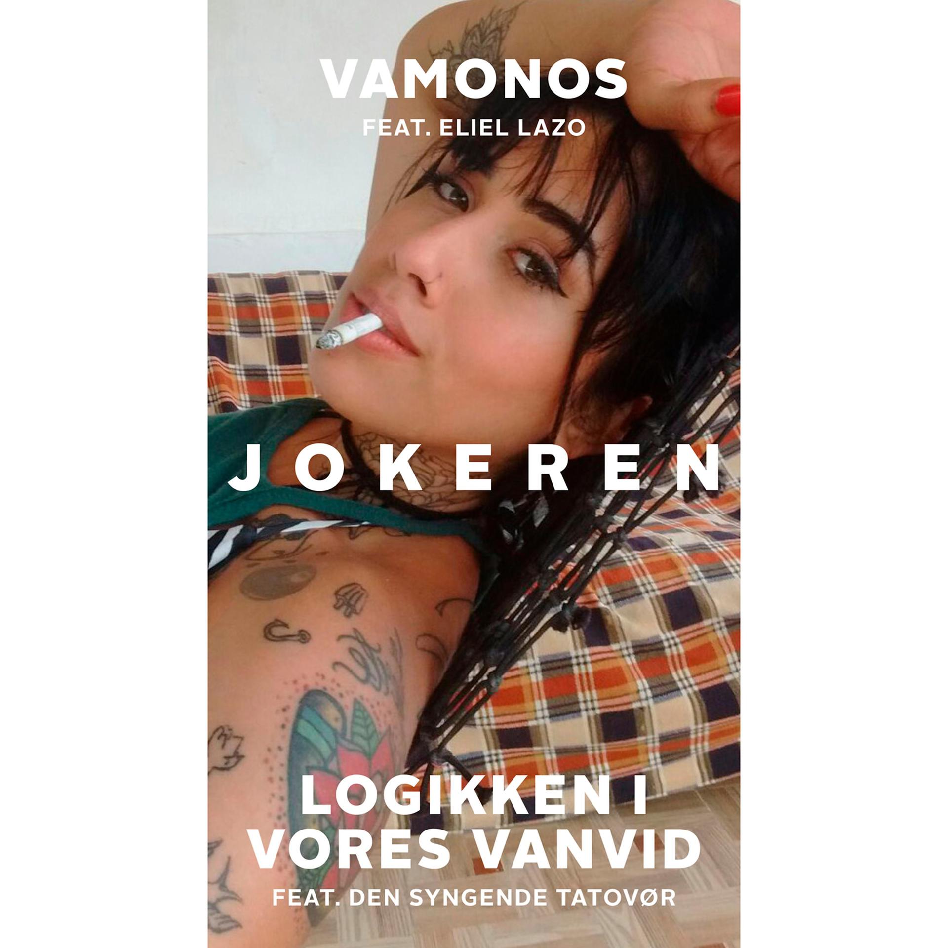 Постер альбома Vamonos / Logikken I Vores Vanvid