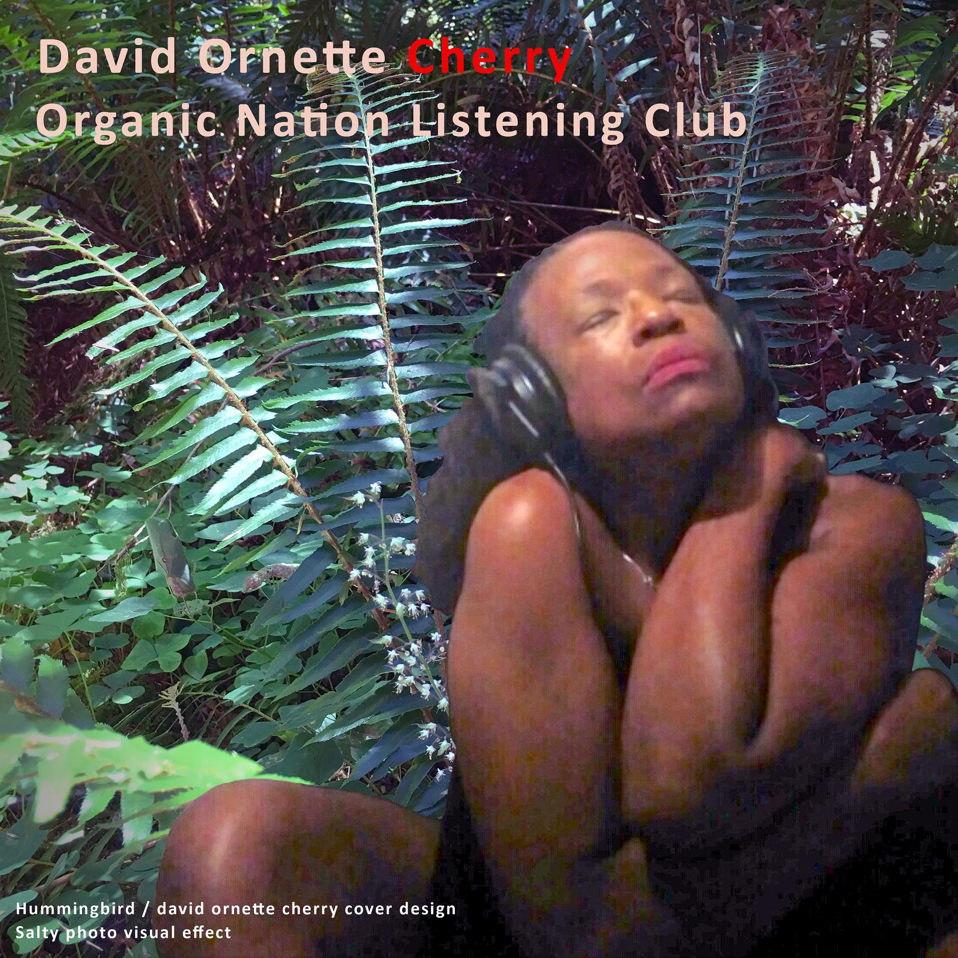 Постер альбома Organic Nation Listening Club