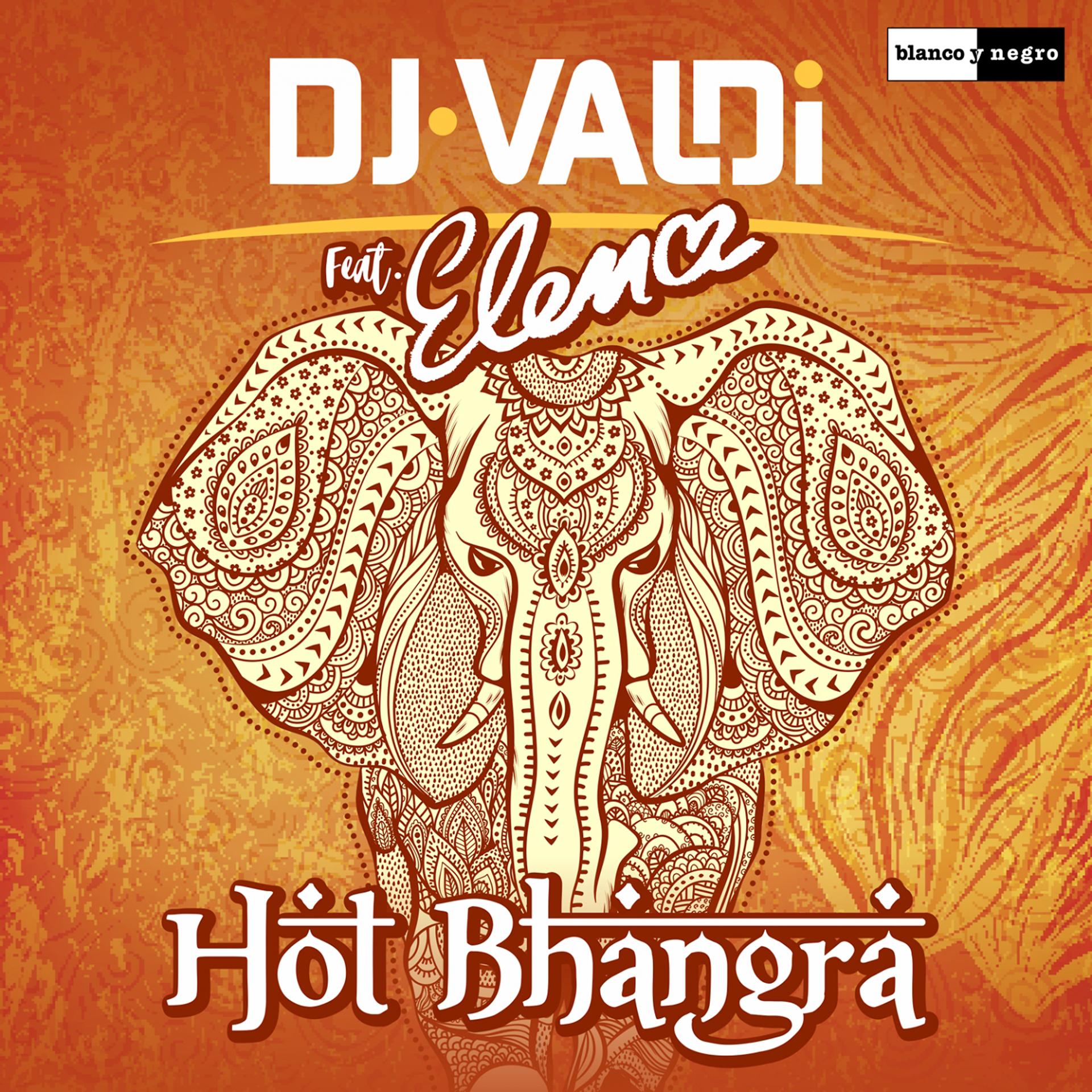 Постер альбома Hot Bhangra