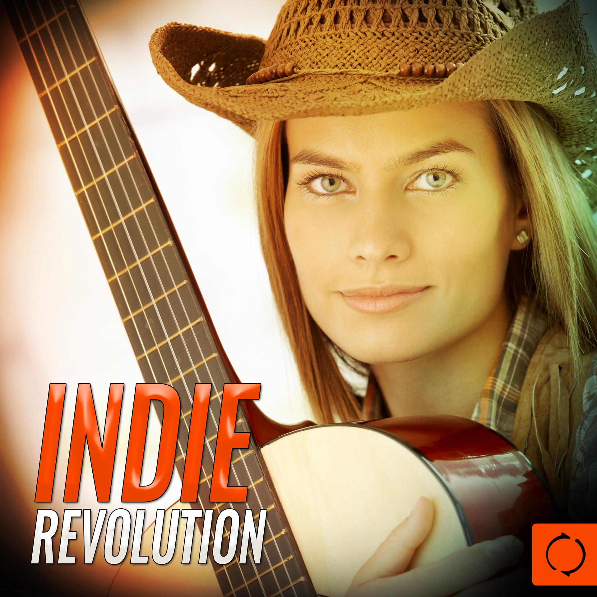 Постер альбома Indie Revolution