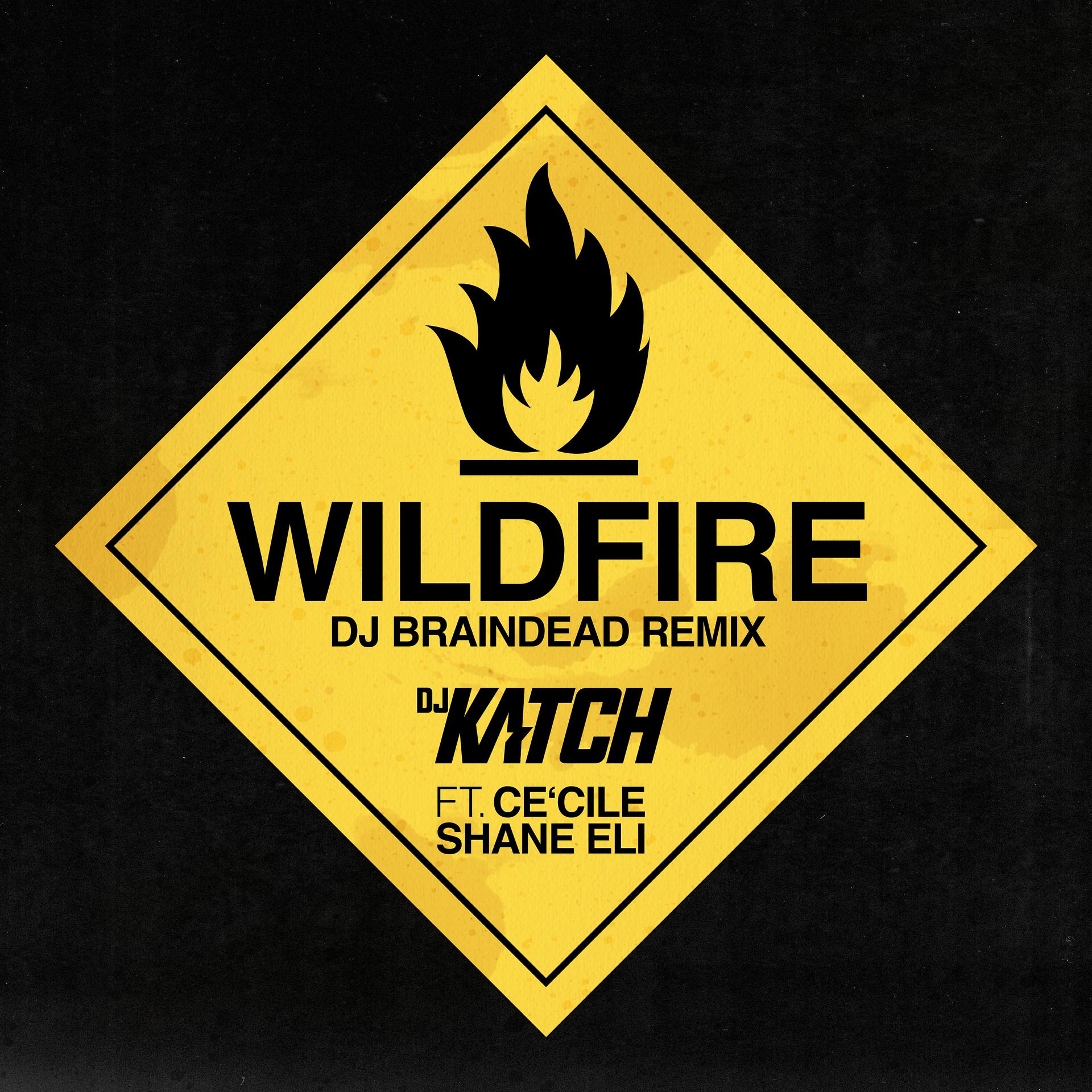 Постер альбома Wildfire (Dj Braindead Remix)
