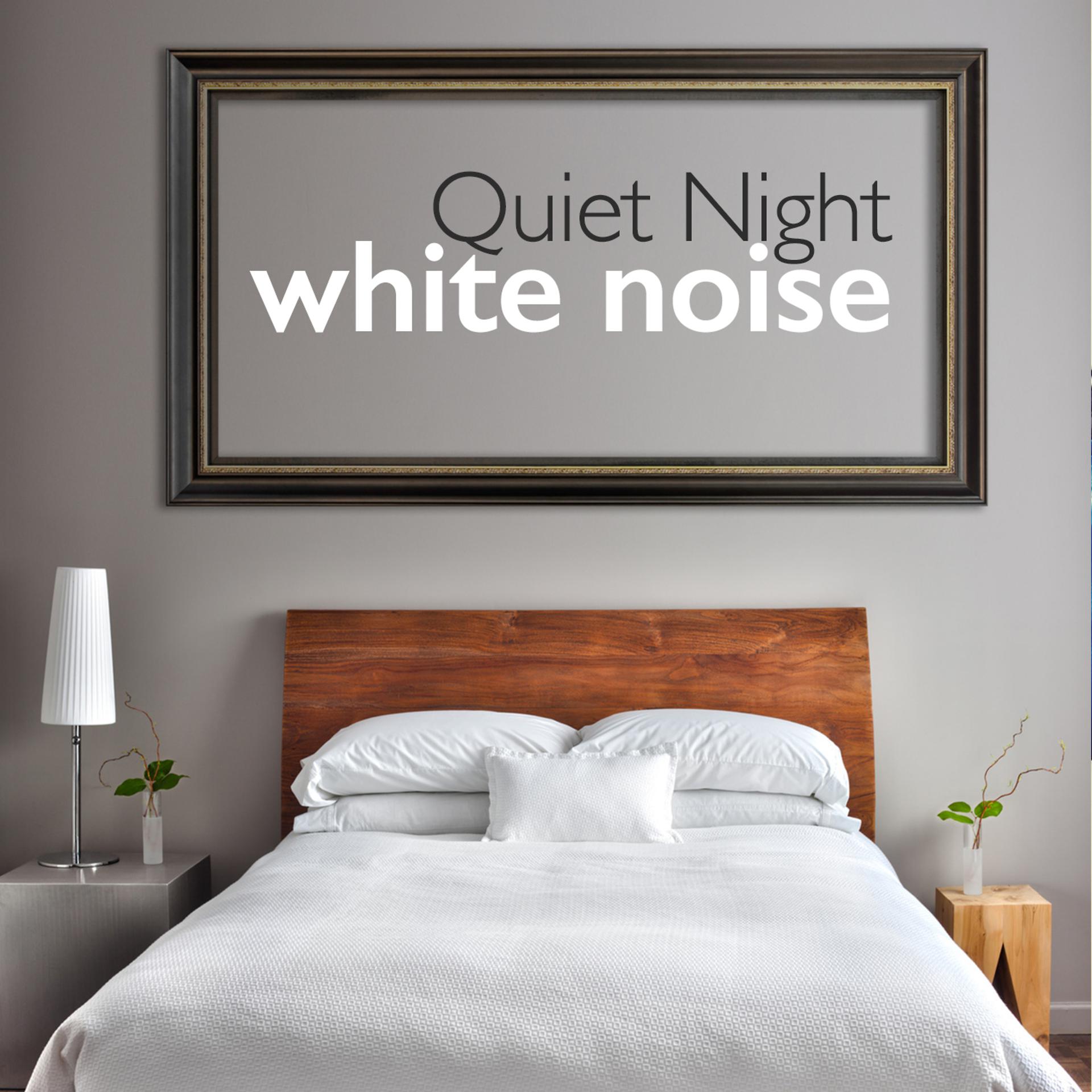 Постер альбома Quiet Night - White Noise