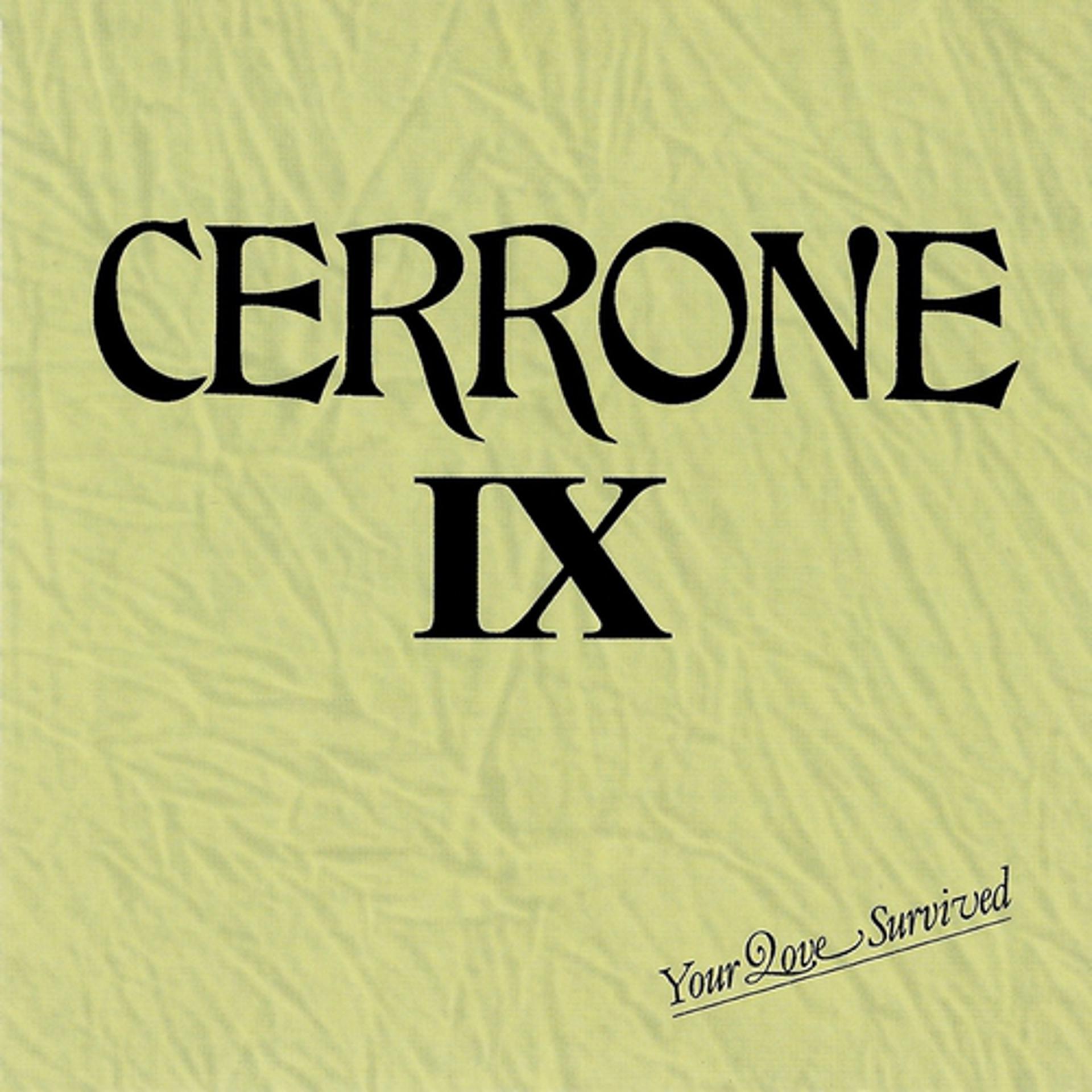Постер альбома You Love Survived (Cerrone IX)