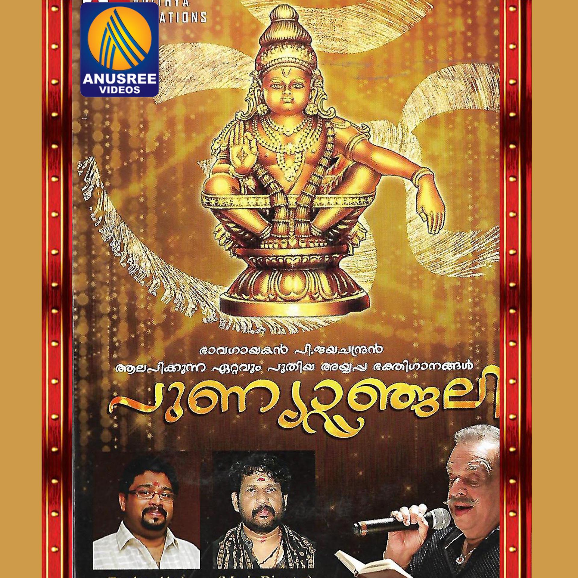 Постер альбома Punyanjali