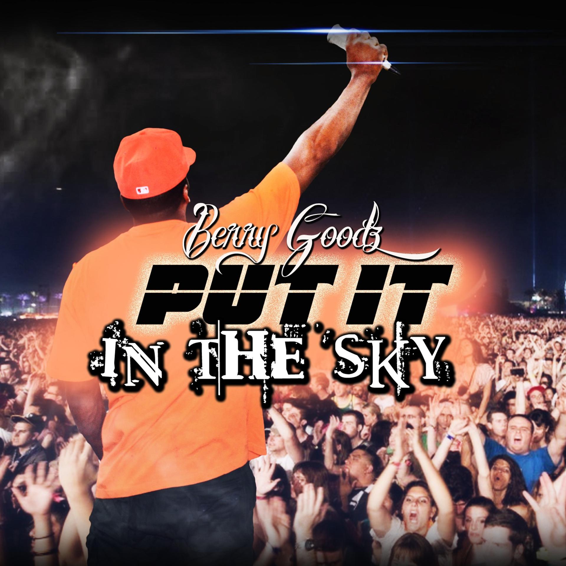 Постер альбома Put It in the Sky