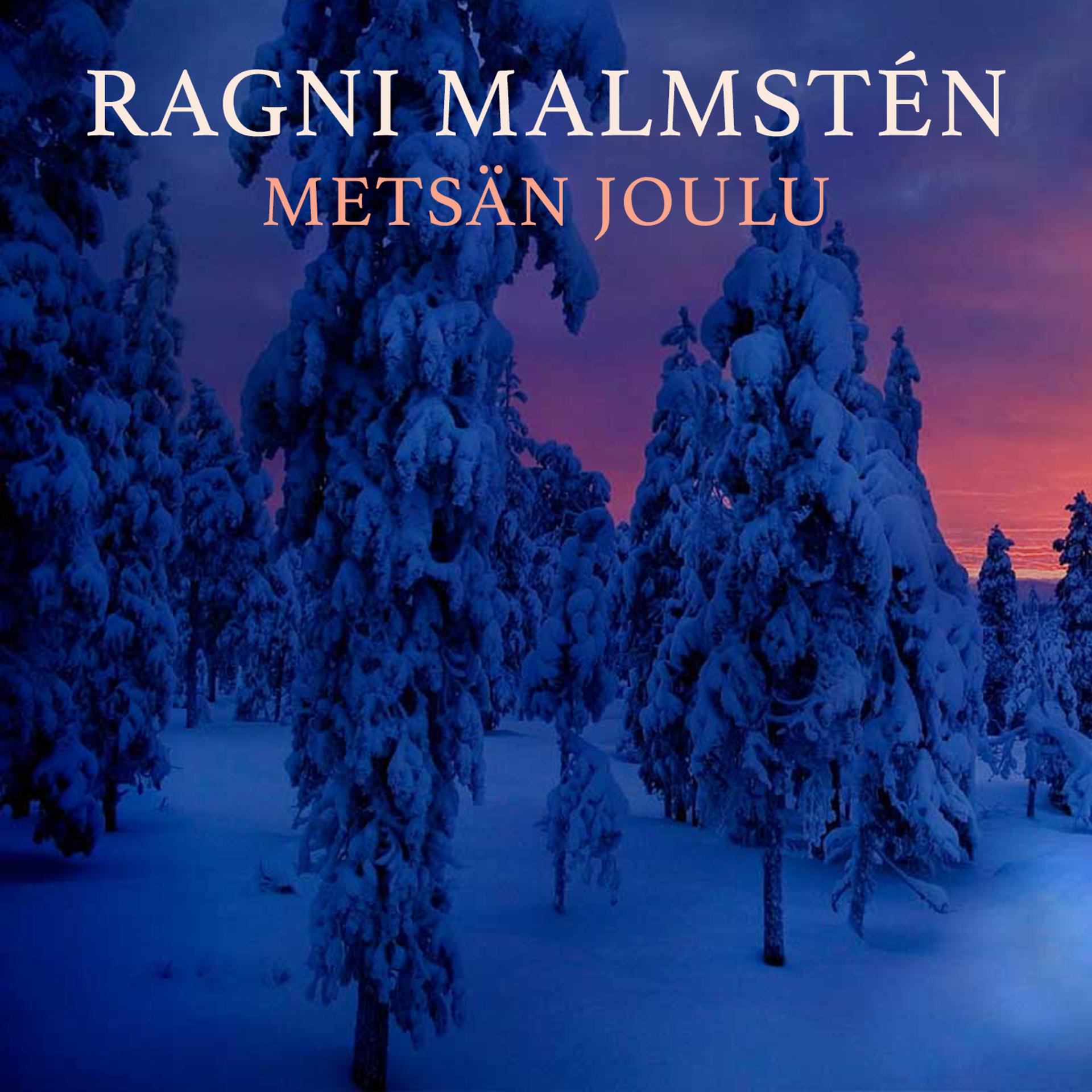Постер альбома Metsän Joulu