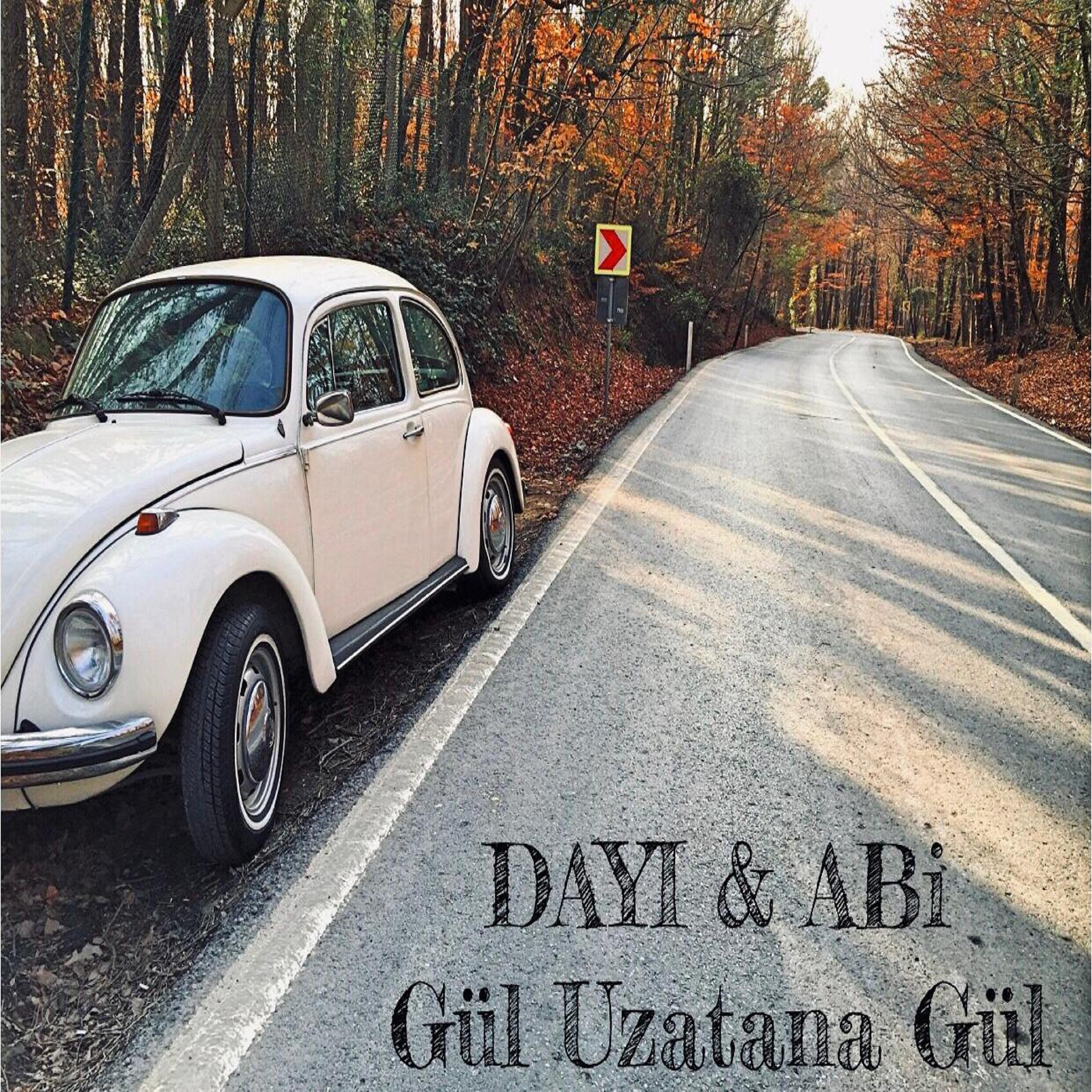 Постер альбома Gül Uzatana Gül