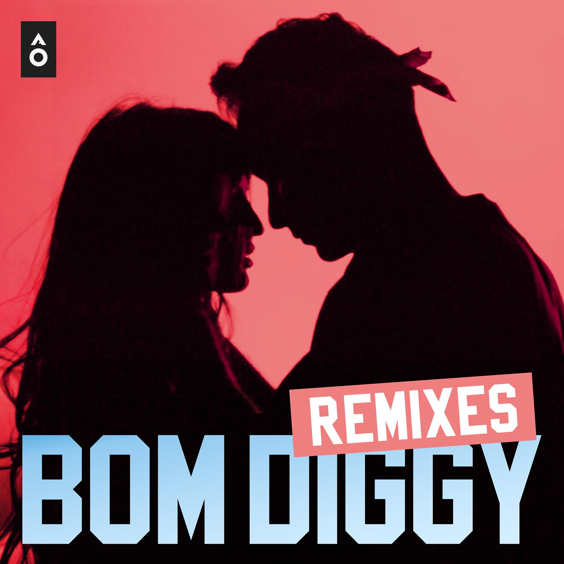 Постер альбома Bom Diggy (Remixes)