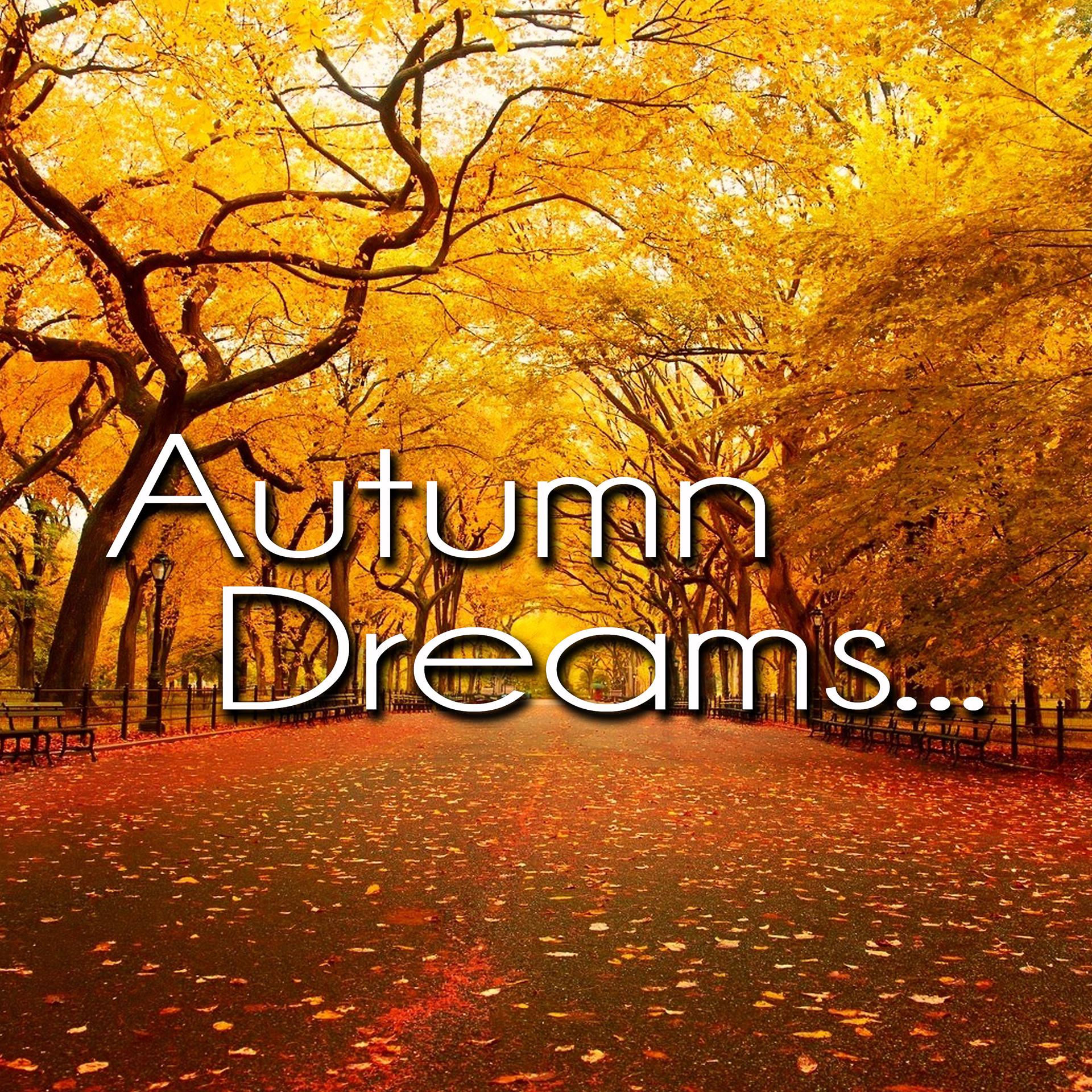 Постер альбома Autumn Dreams