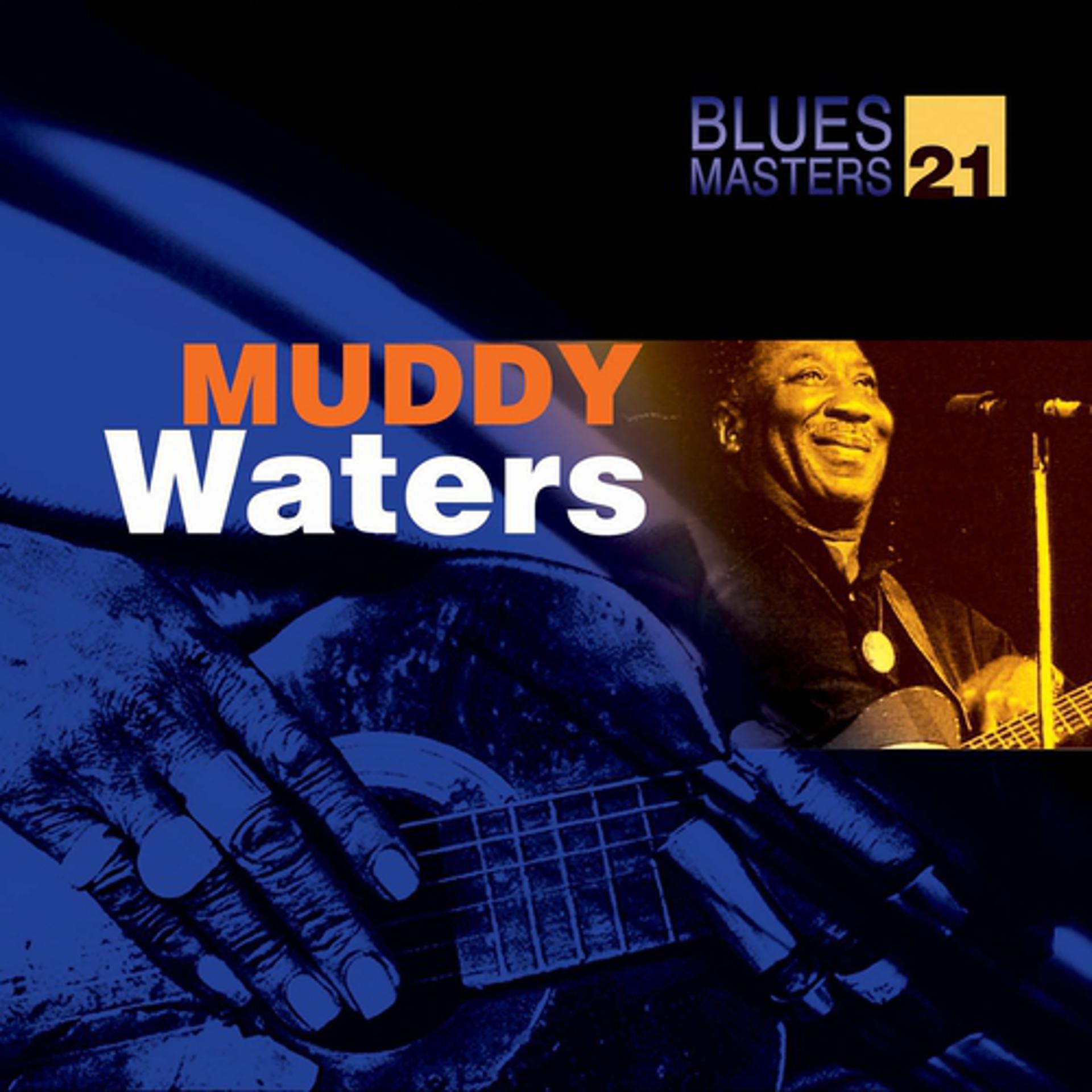 Постер альбома Blues Masters Vol. 21