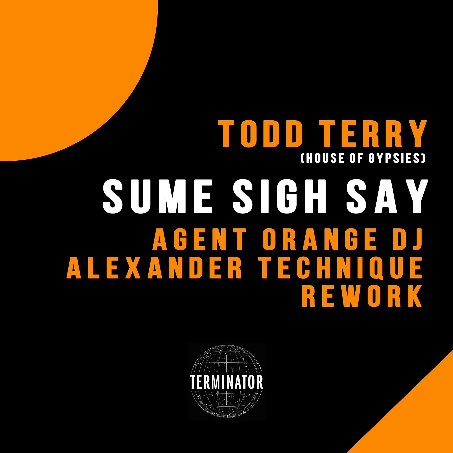 Постер альбома Sume Sigh Say (Agent Orange DJ & Alexander Technique Rework)