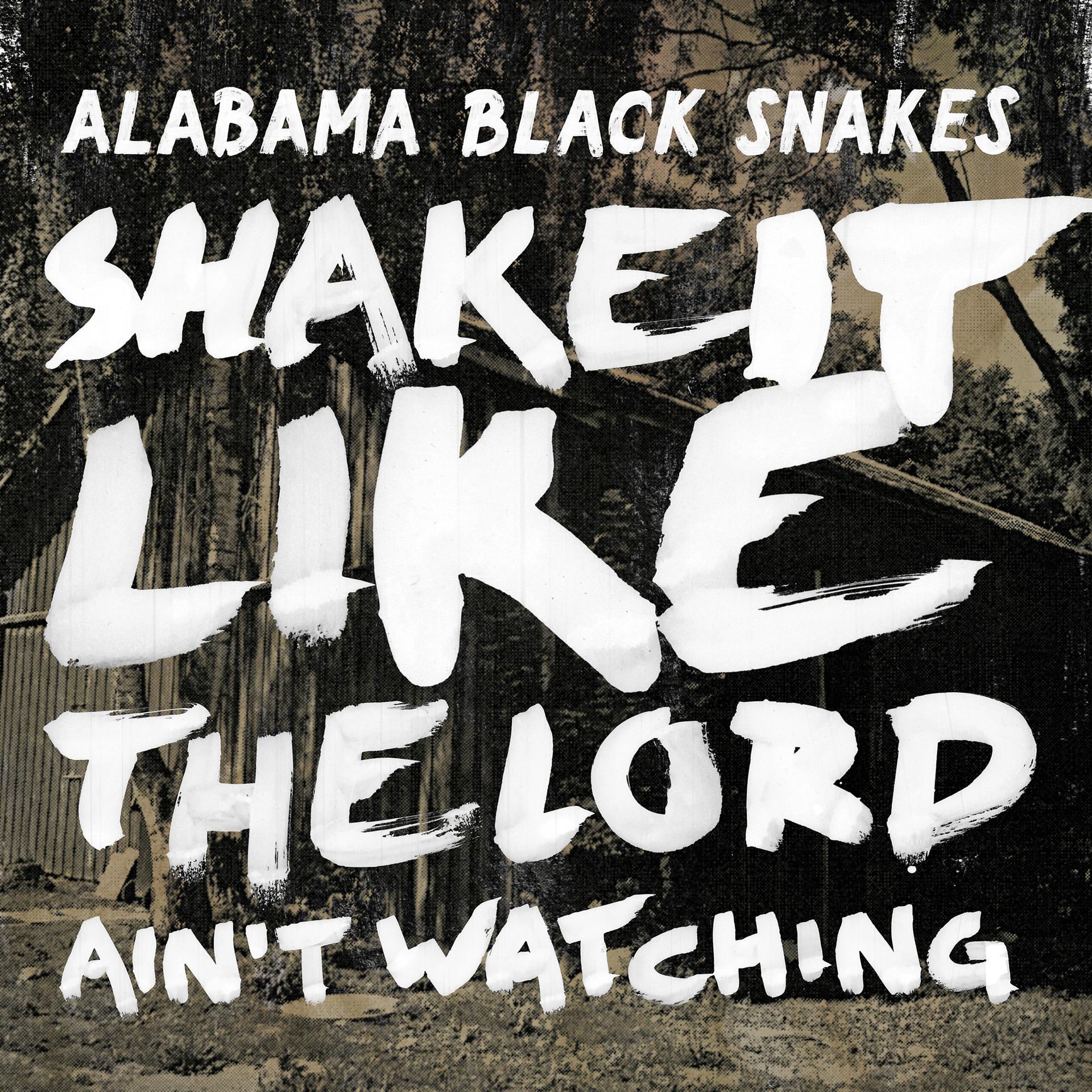 Постер альбома Shake It Like the Lord Ain't Watching