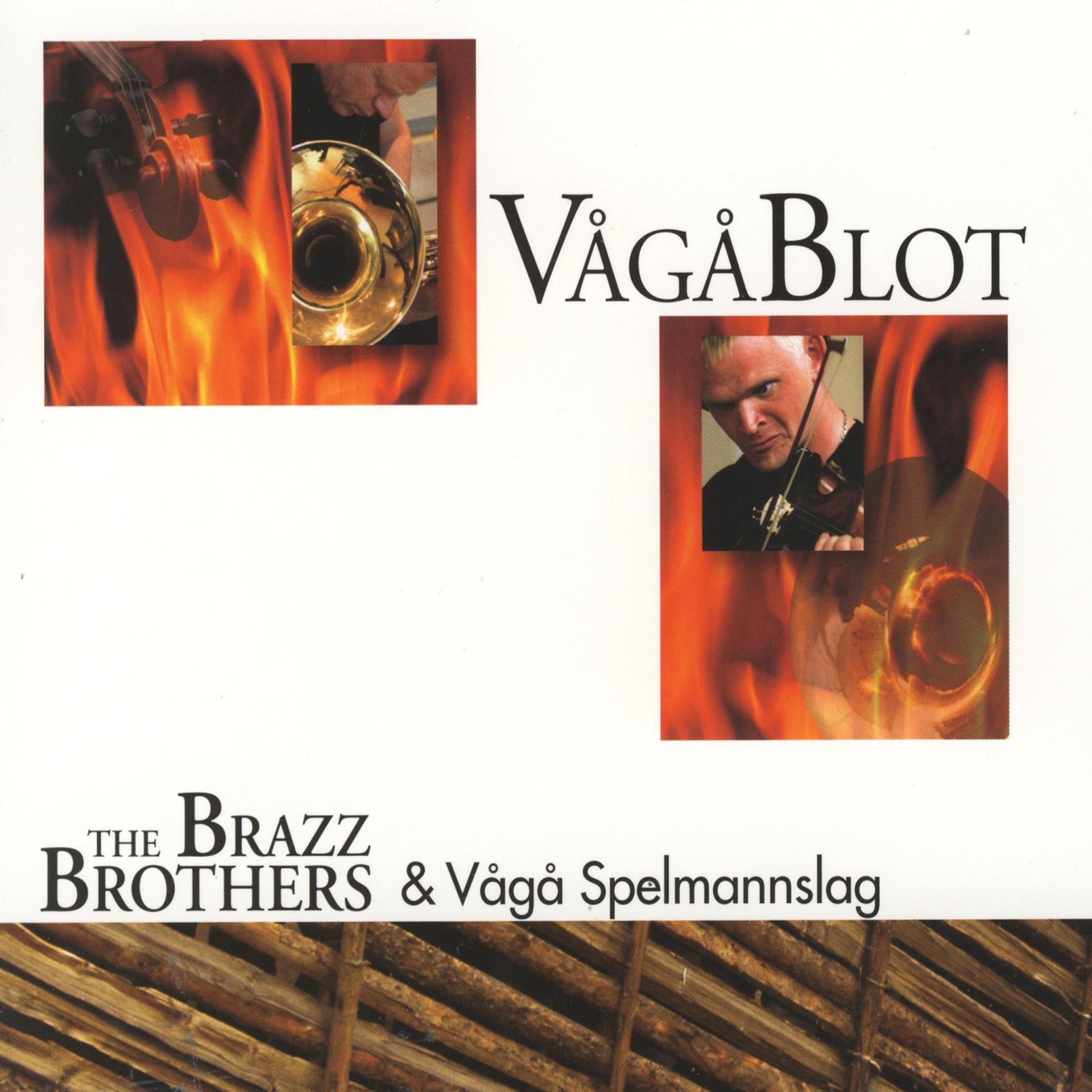 Постер альбома Vågåblot