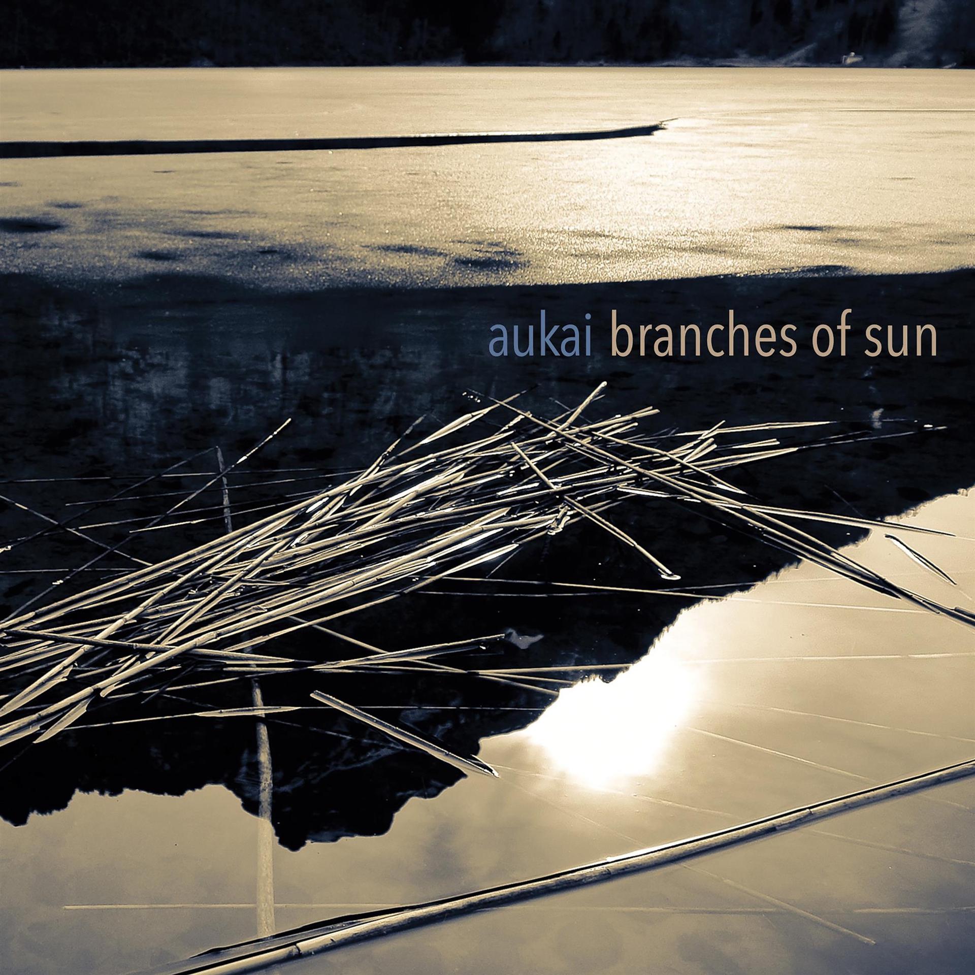Постер альбома Branches of Sun