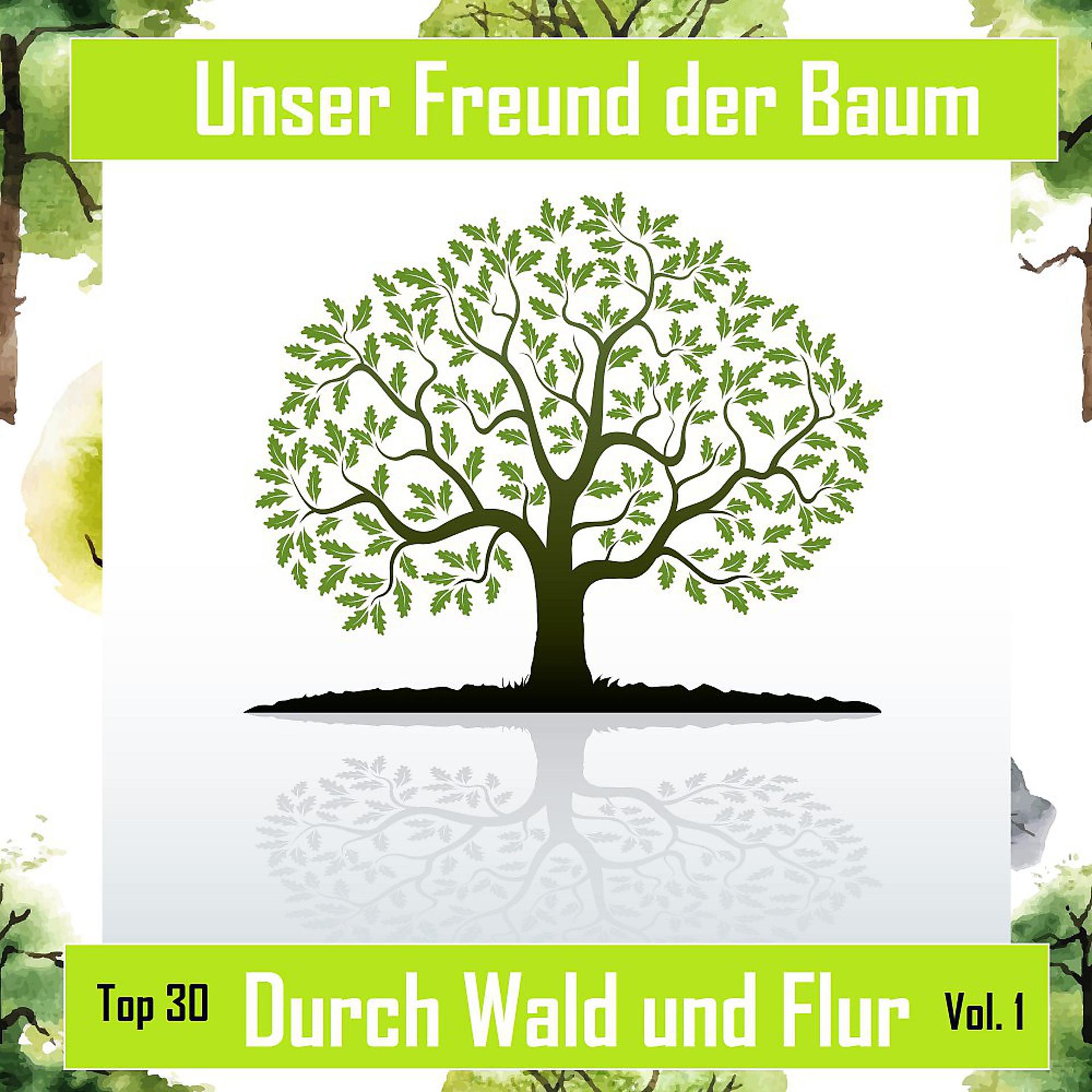 Постер альбома Top 30: Unser Freund der Baum - Durch Wald und Flur, Vol. 1