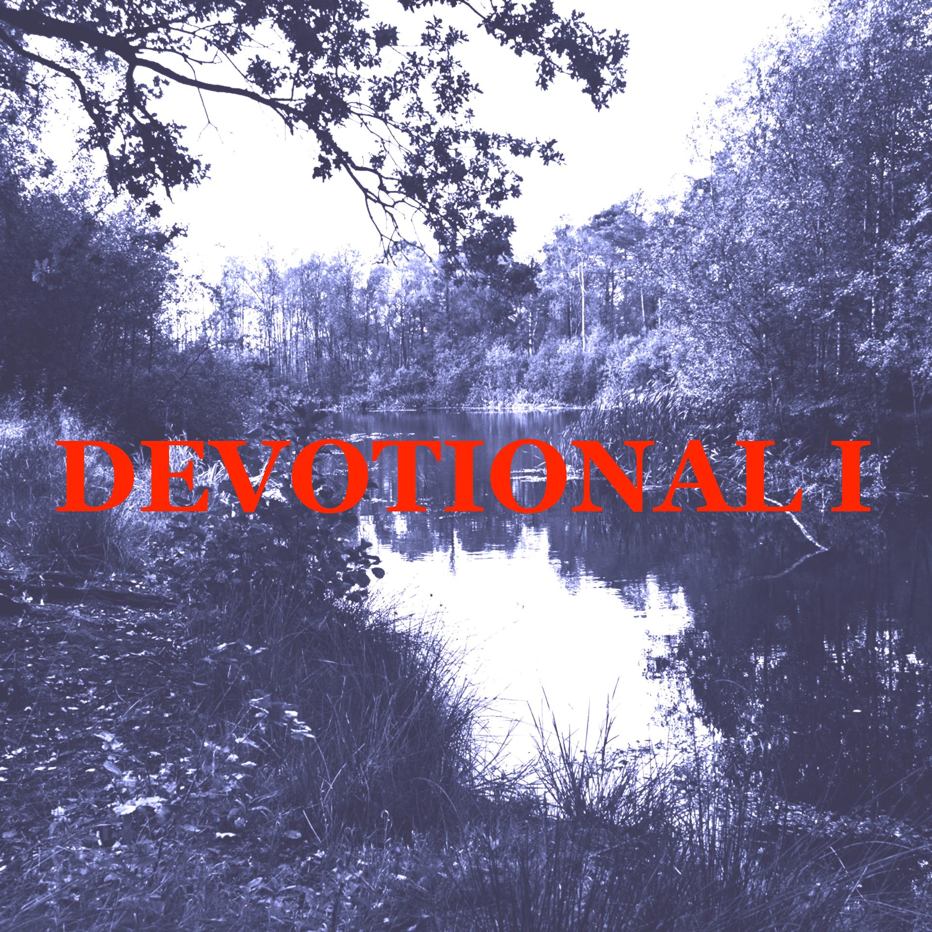Постер альбома Devotional I