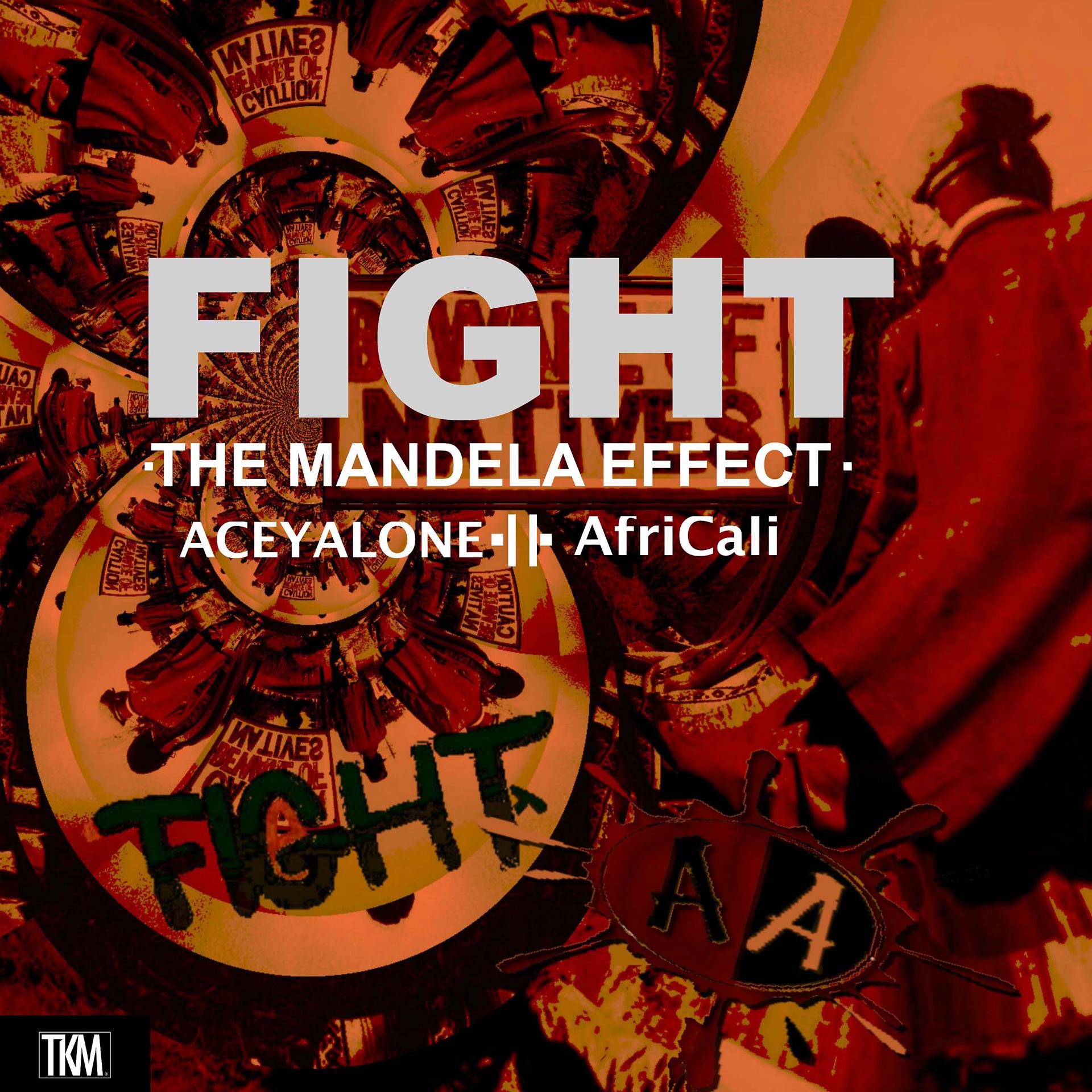 Постер альбома Fight! the Mandela Effect