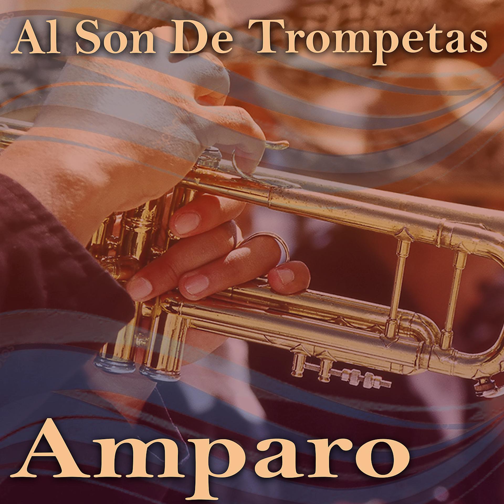 Постер альбома Al Son De Trompetas