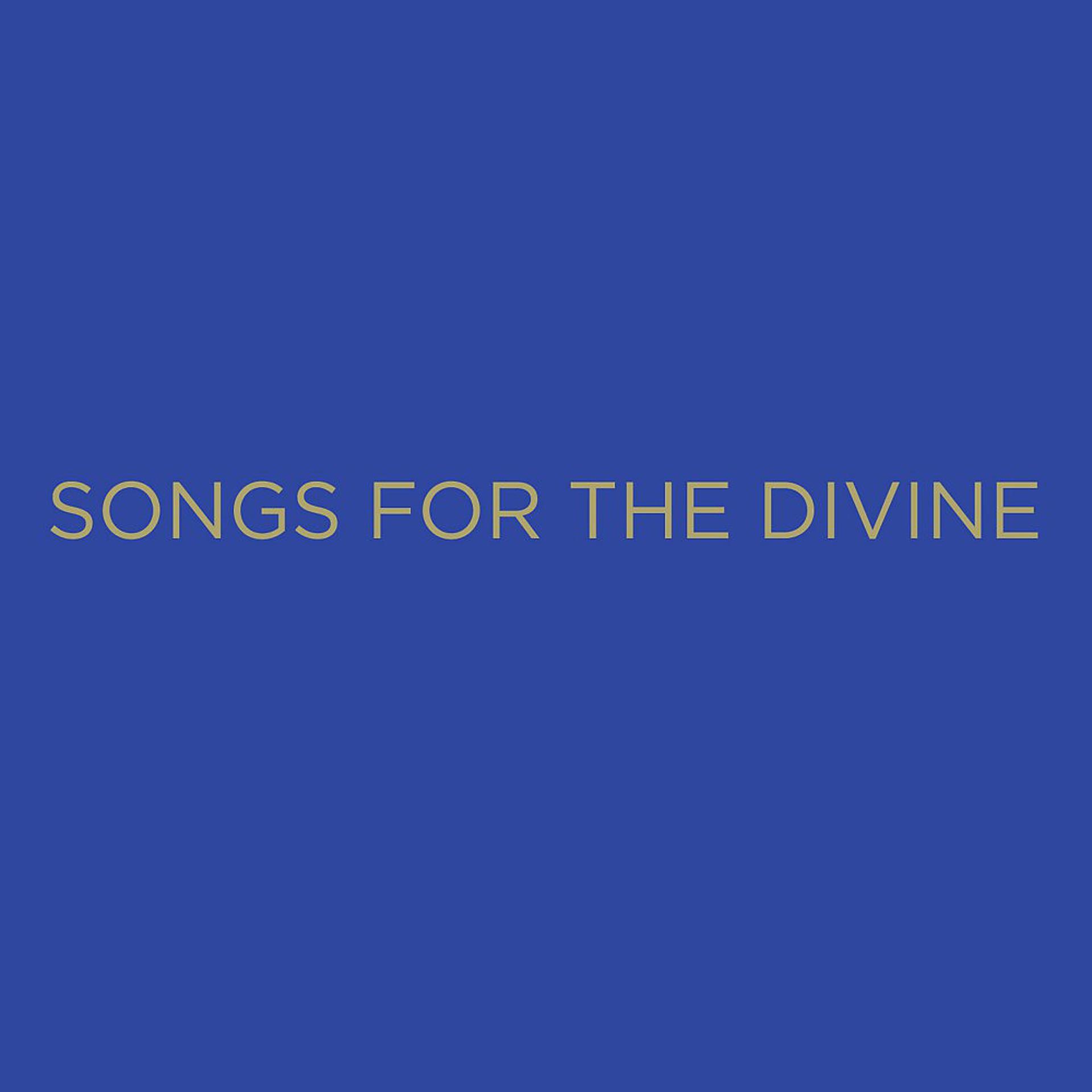 Постер альбома Songs for the Divine