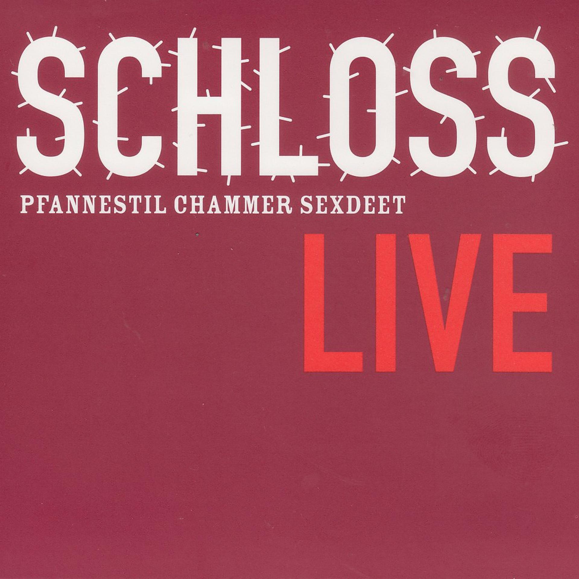 Постер альбома Schloss