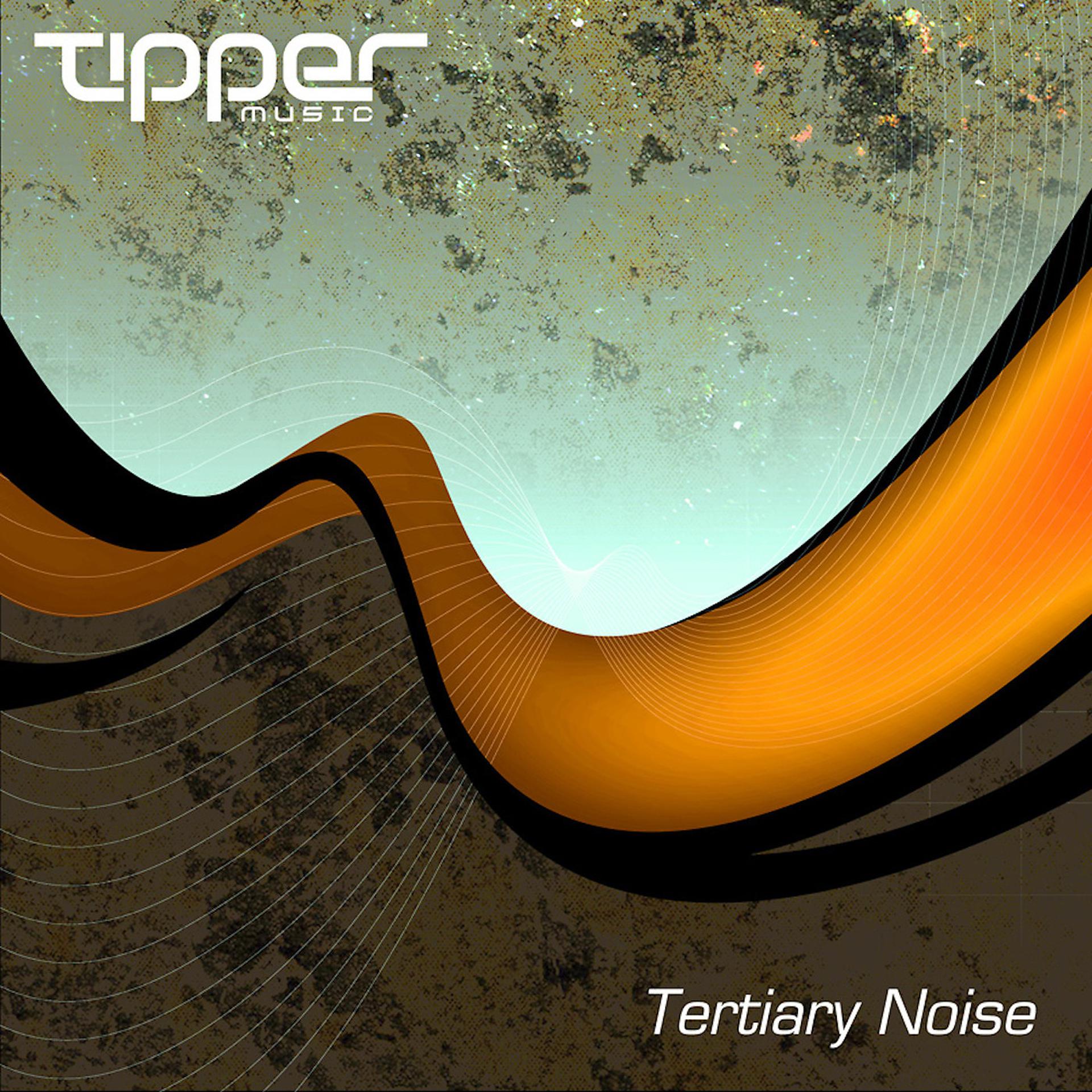 Постер альбома Tertiary Noise (DJ Mix)