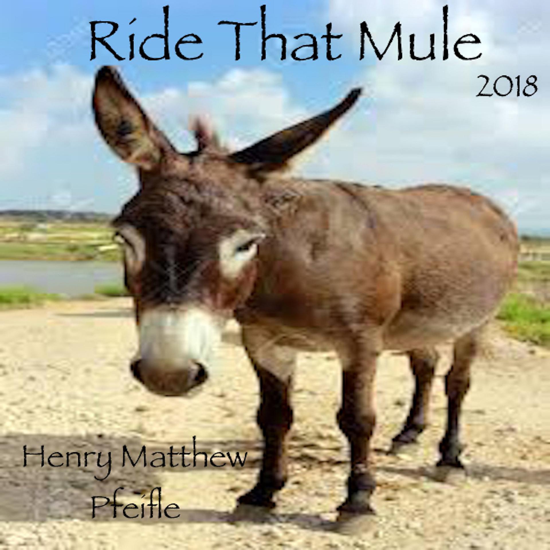 Постер альбома Ride That Mule