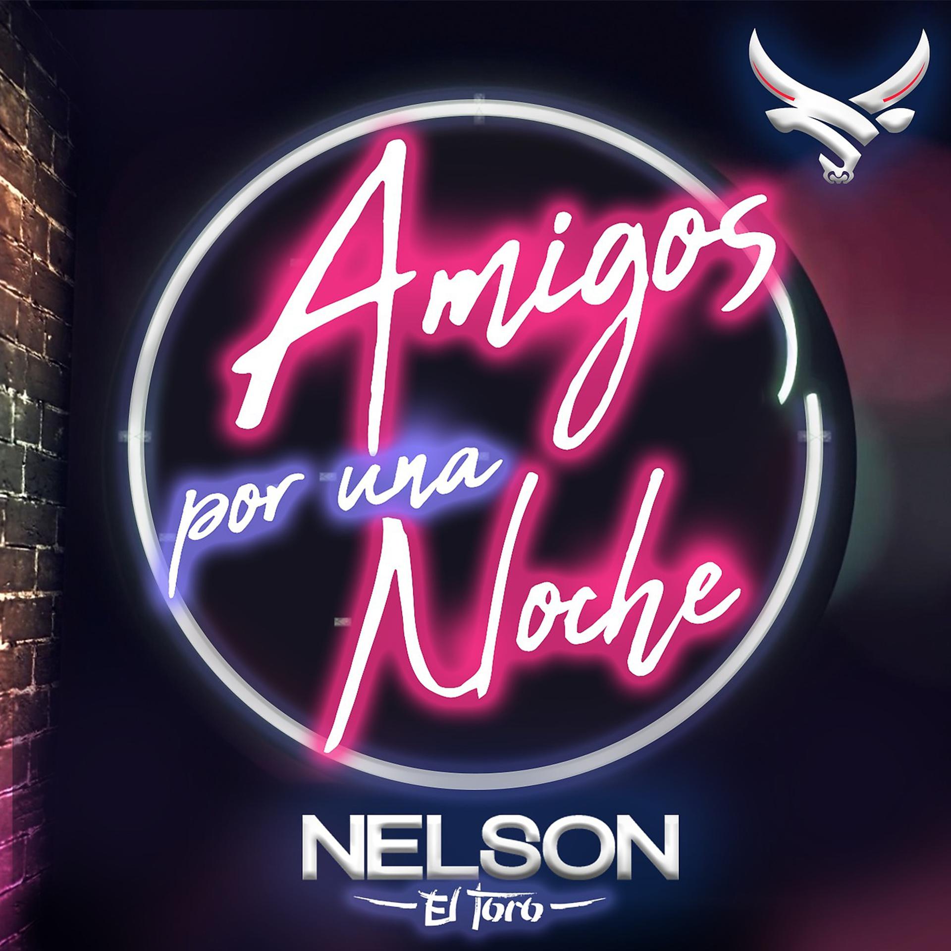Постер альбома Amigos por una Noche