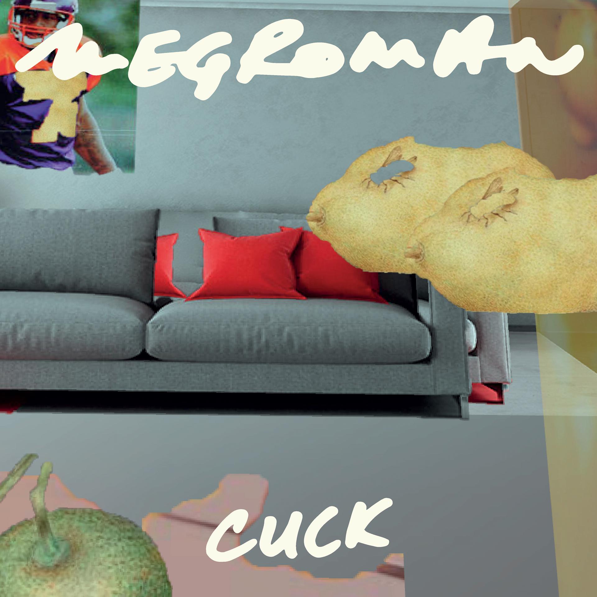 Постер альбома Cuck