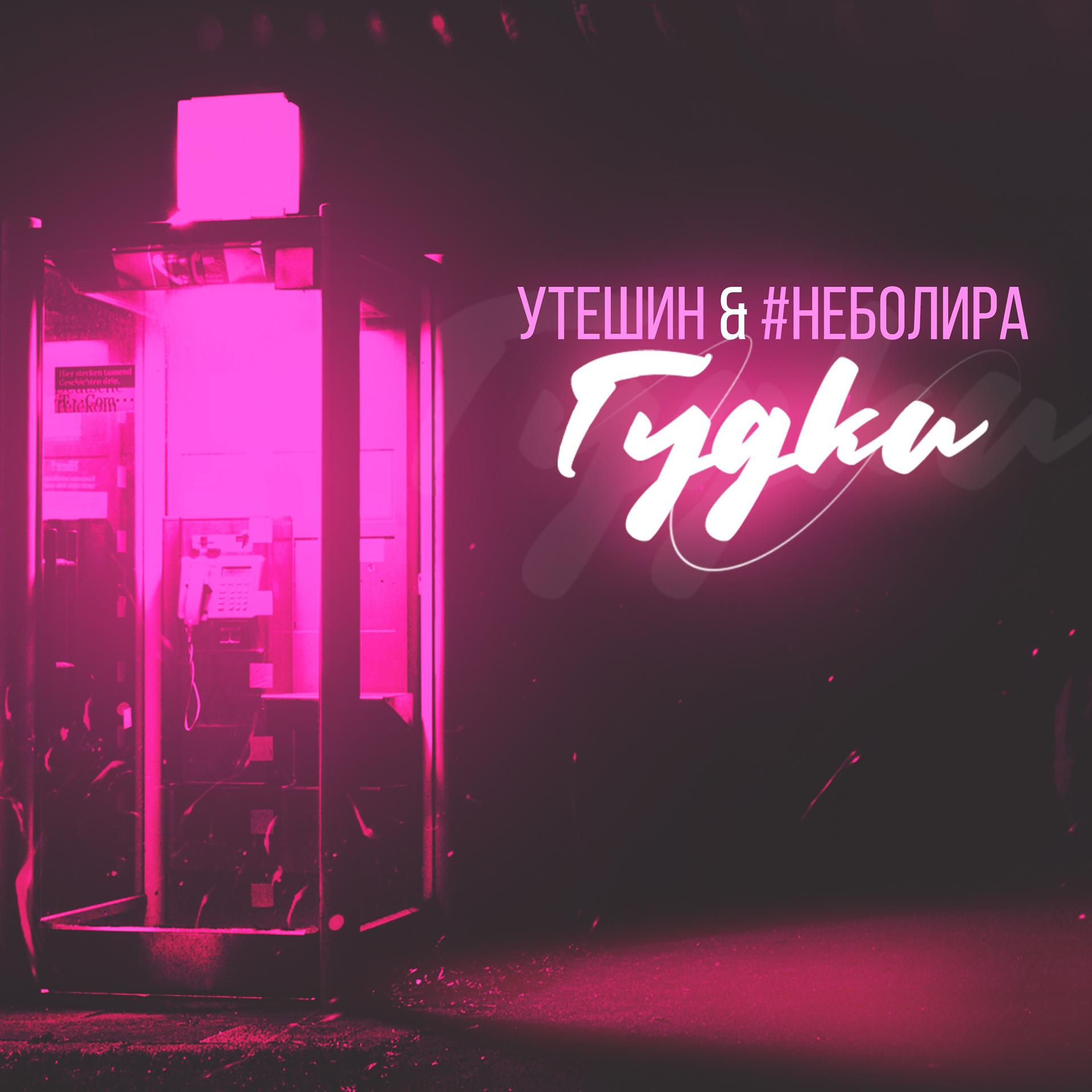 Постер альбома Гудки (feat. #неболира)