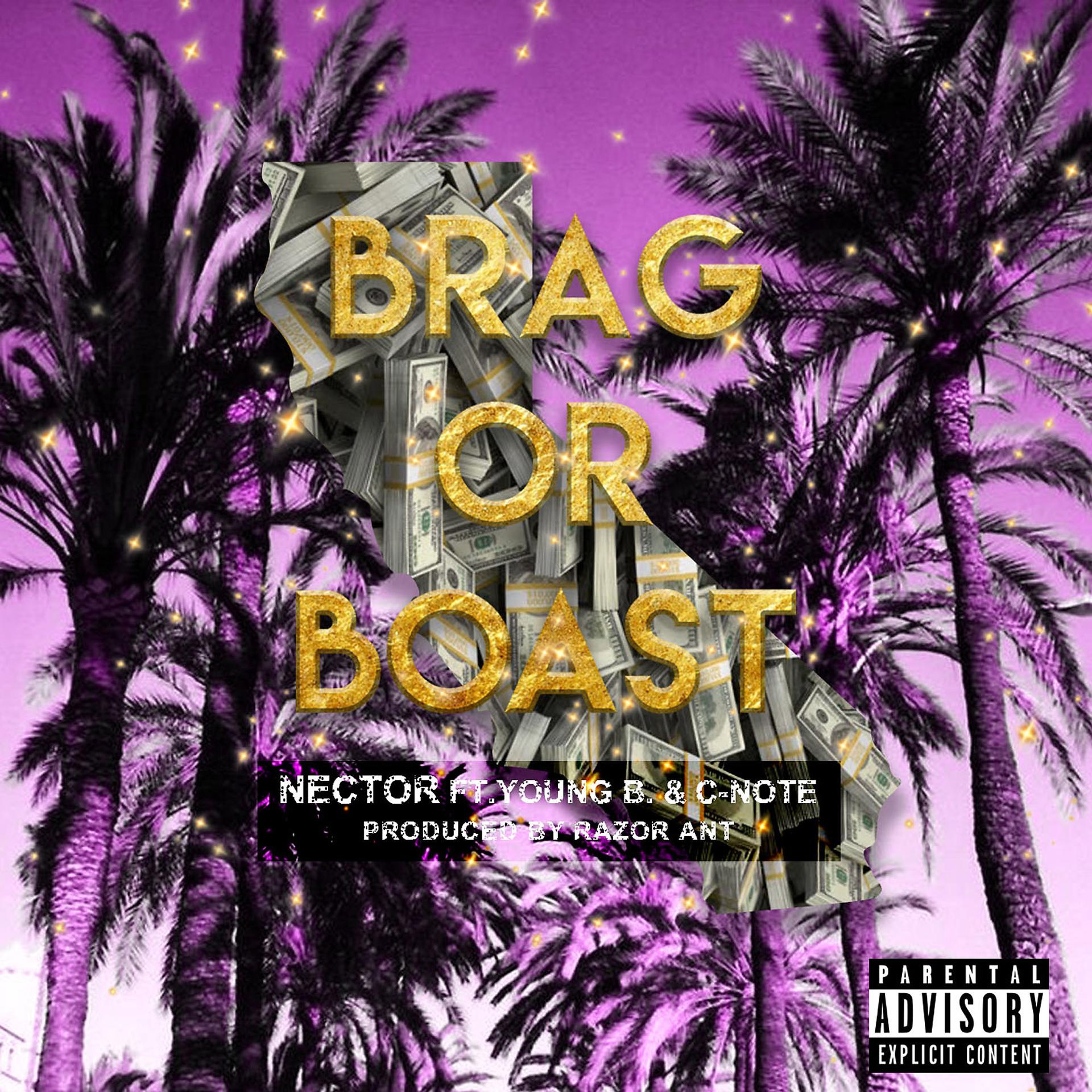Постер альбома Brag Or Boast (feat. Young B & C-Note)