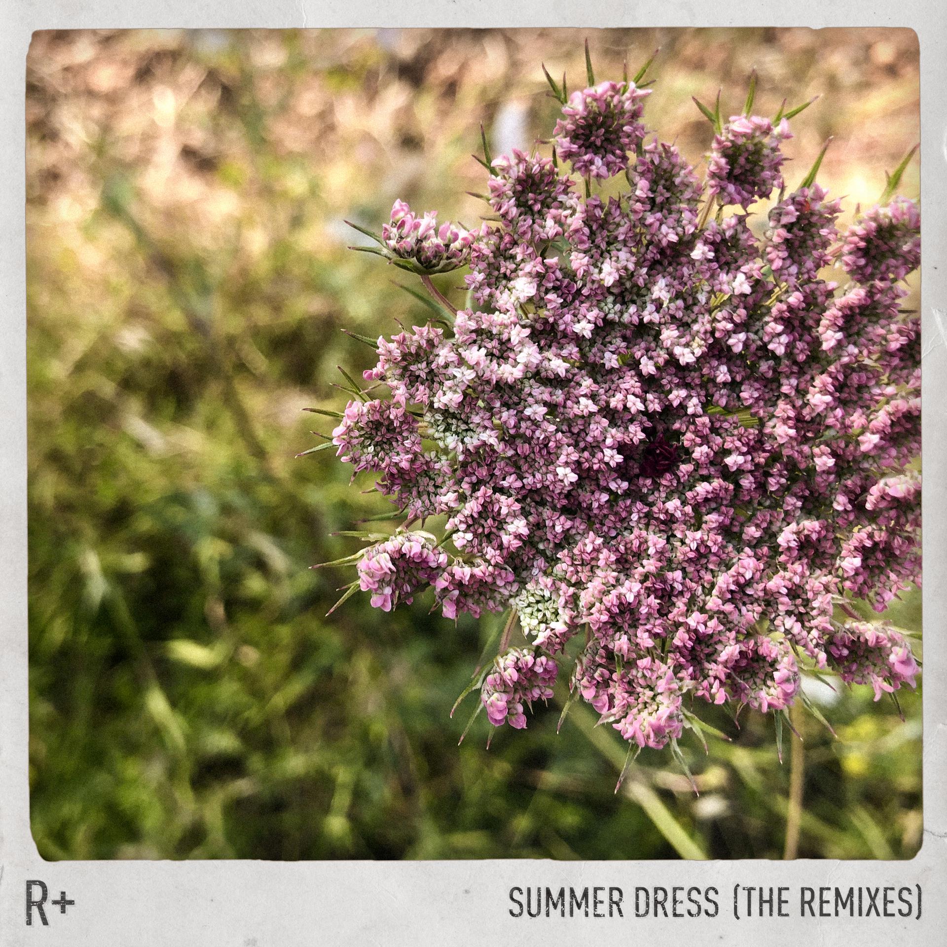 Постер альбома Summer Dress (Remixes)